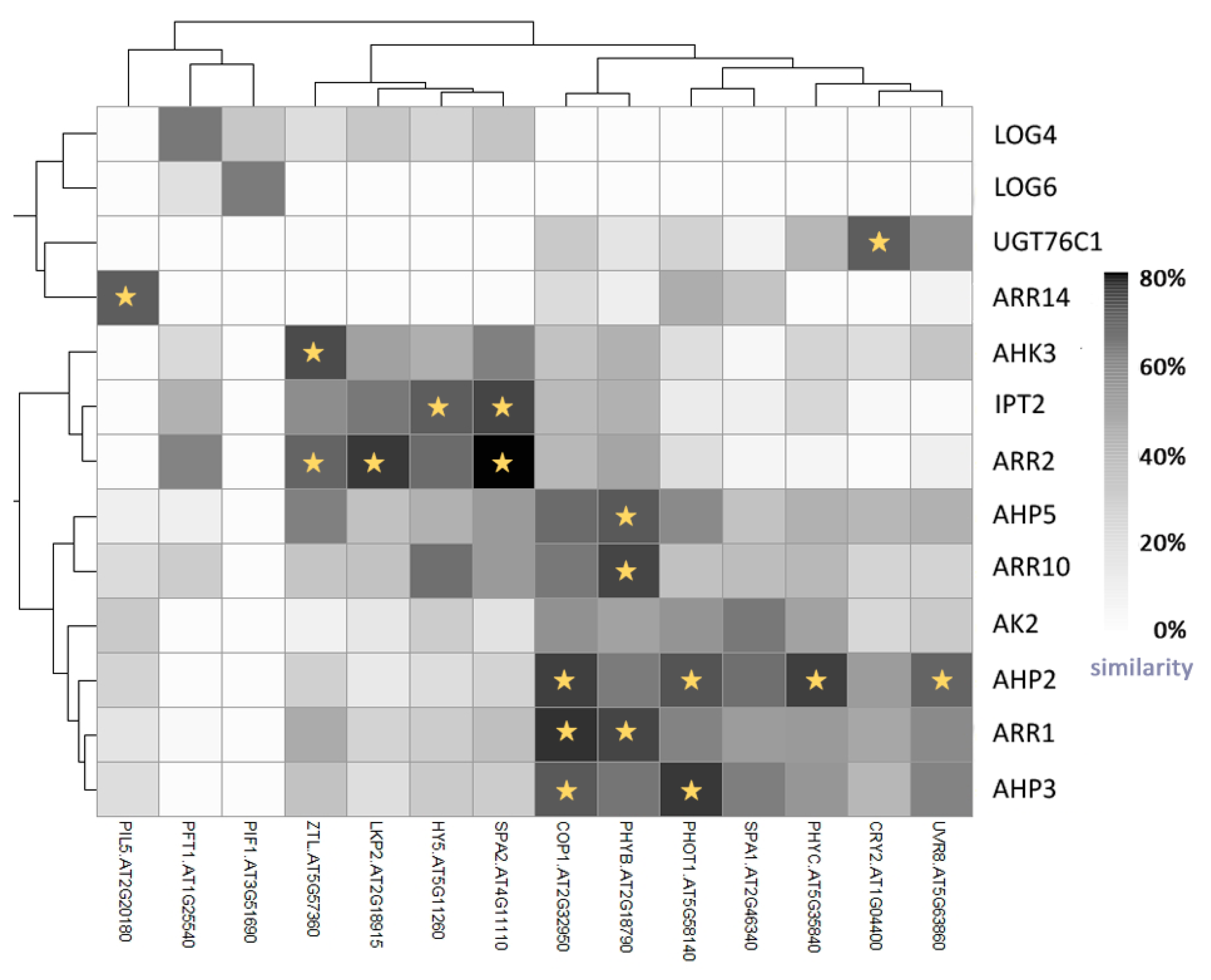 Ijms 19 02450 g005 Ijms 19 02450 g005