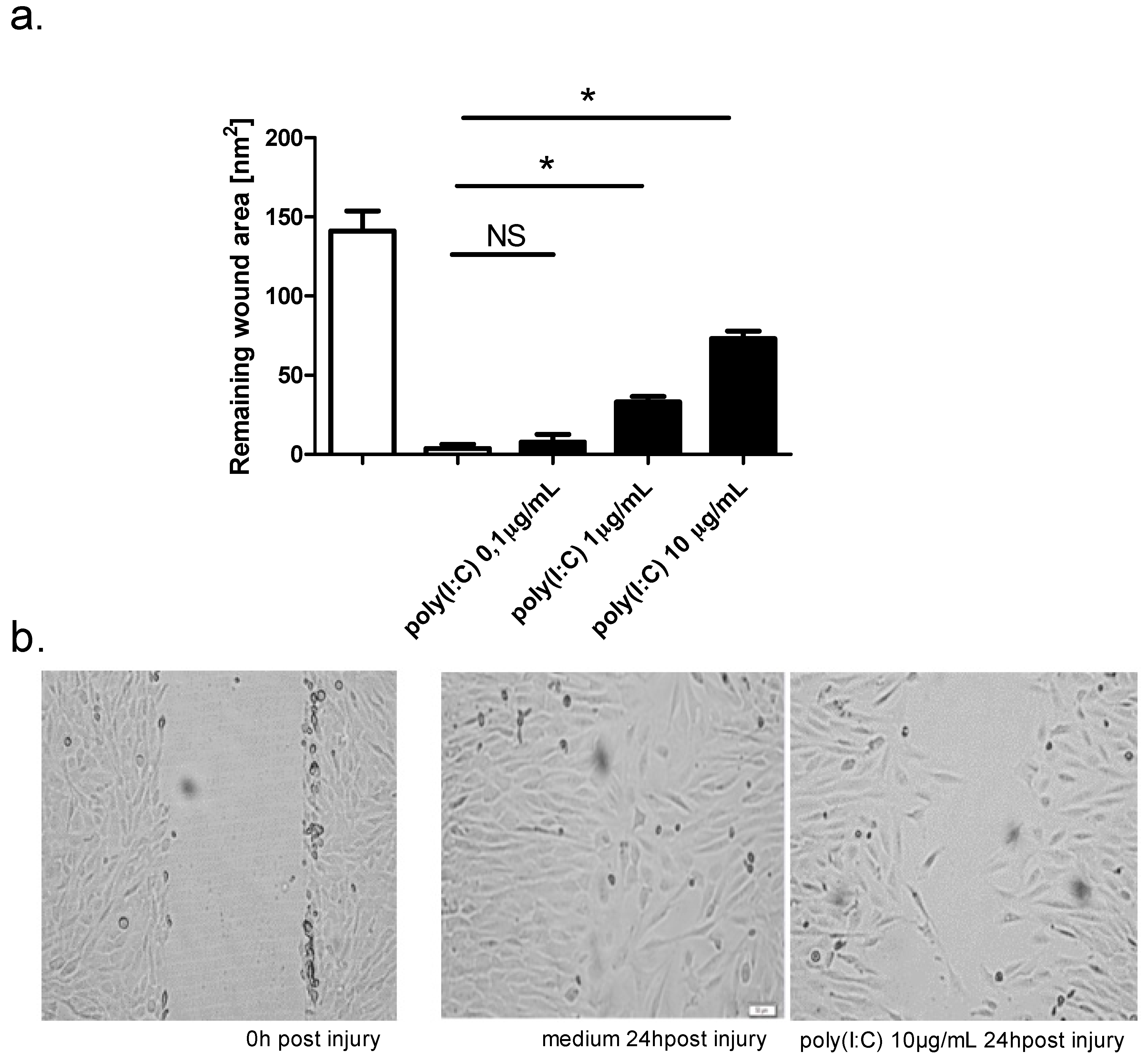 Ijms 19 02456 g002 Ijms 19 02456 g002