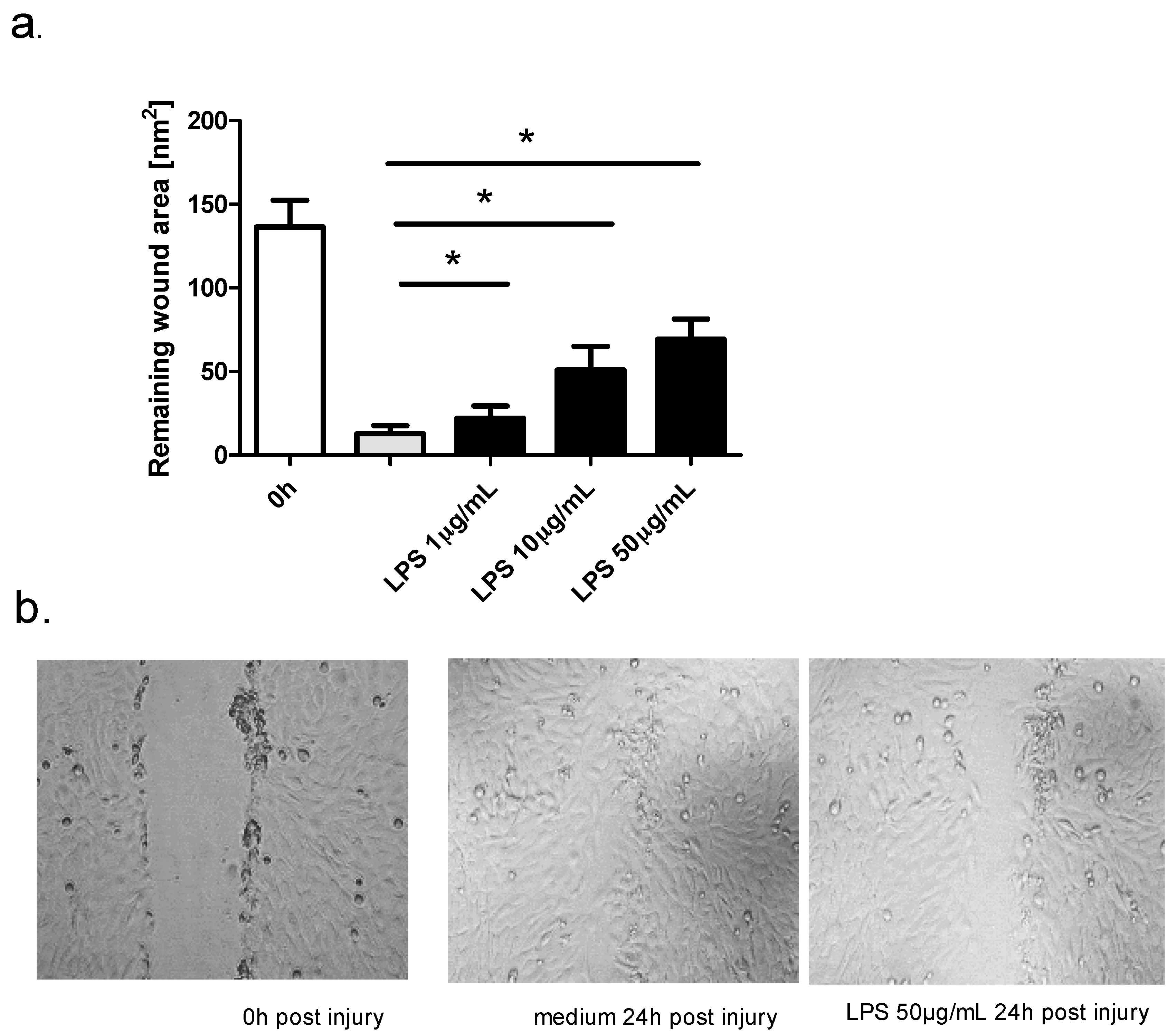 Ijms 19 02456 g003 Ijms 19 02456 g003