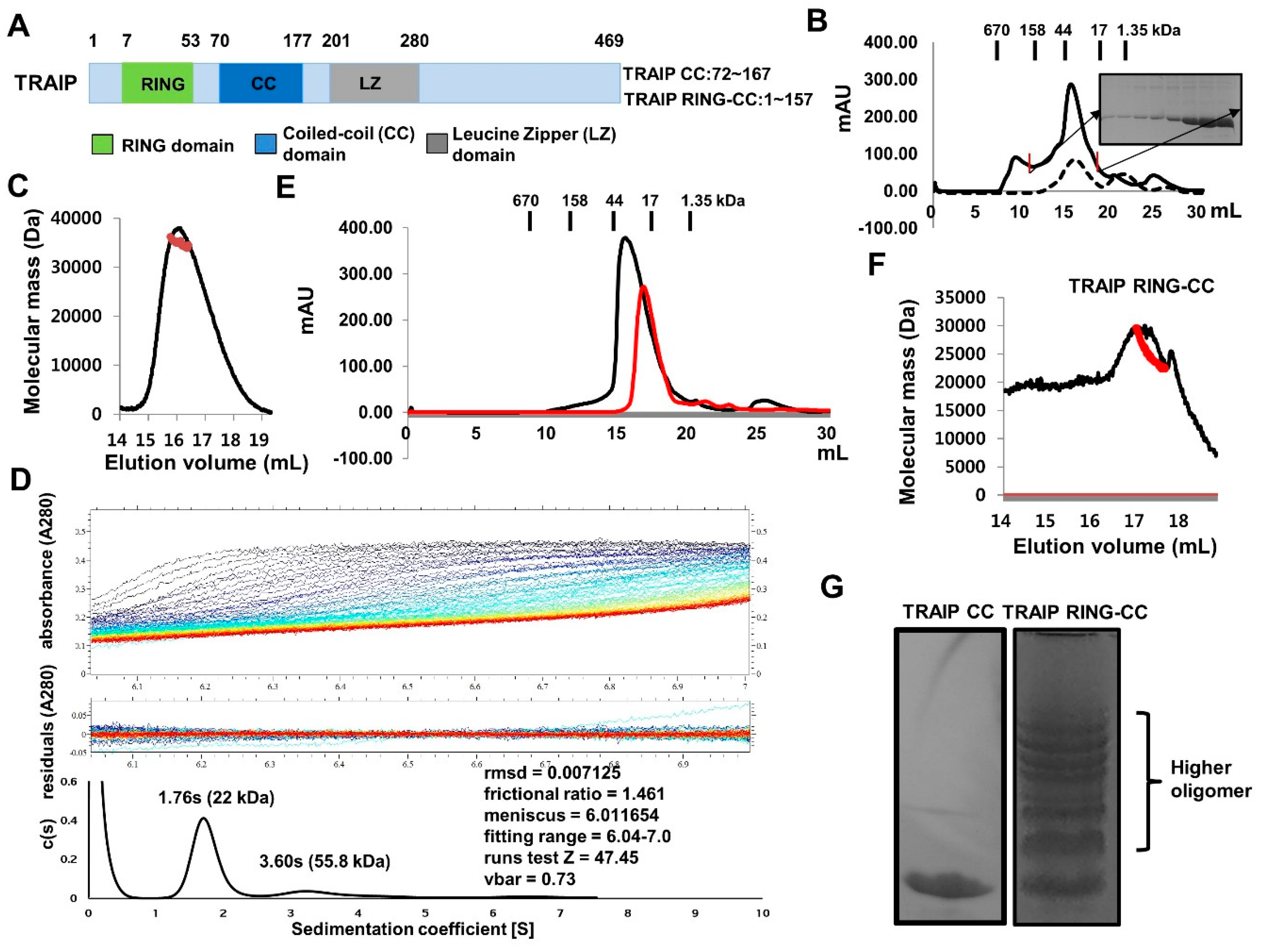 Ijms 19 02457 g001 Ijms 19 02457 g001