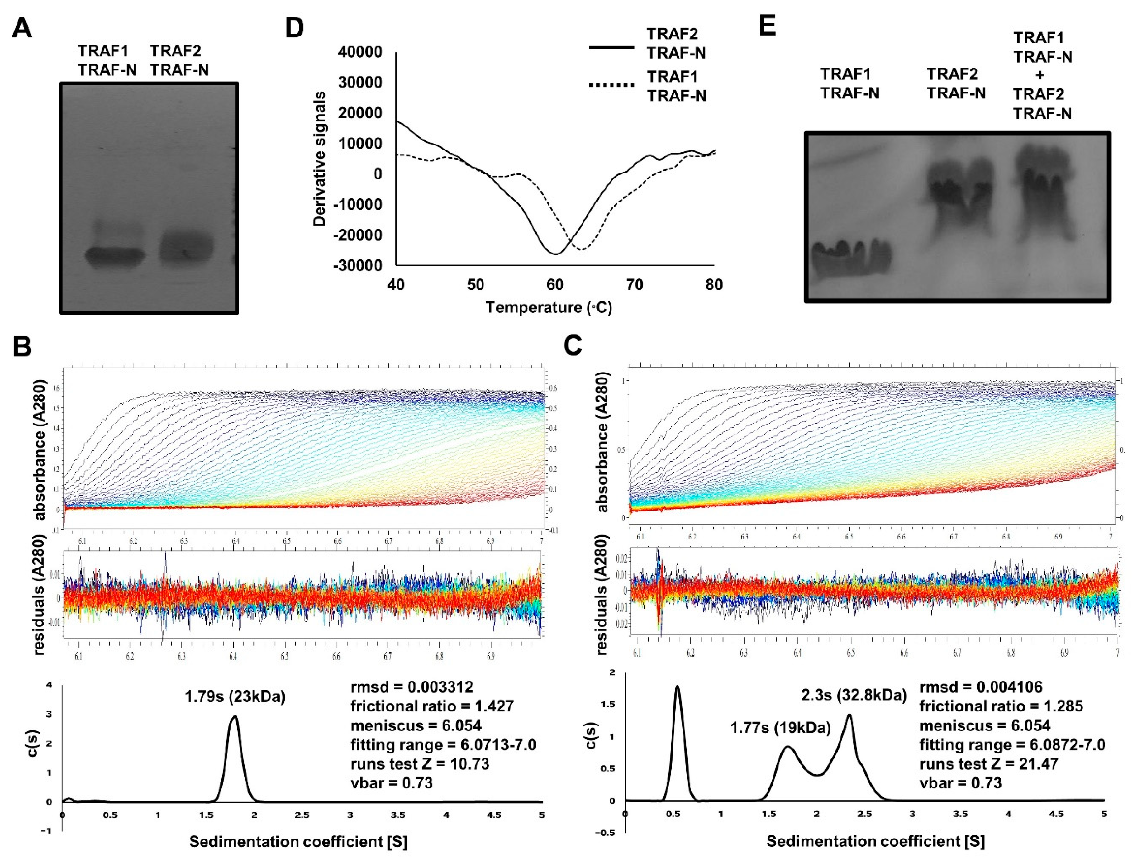 Ijms 19 02457 g003 Ijms 19 02457 g003