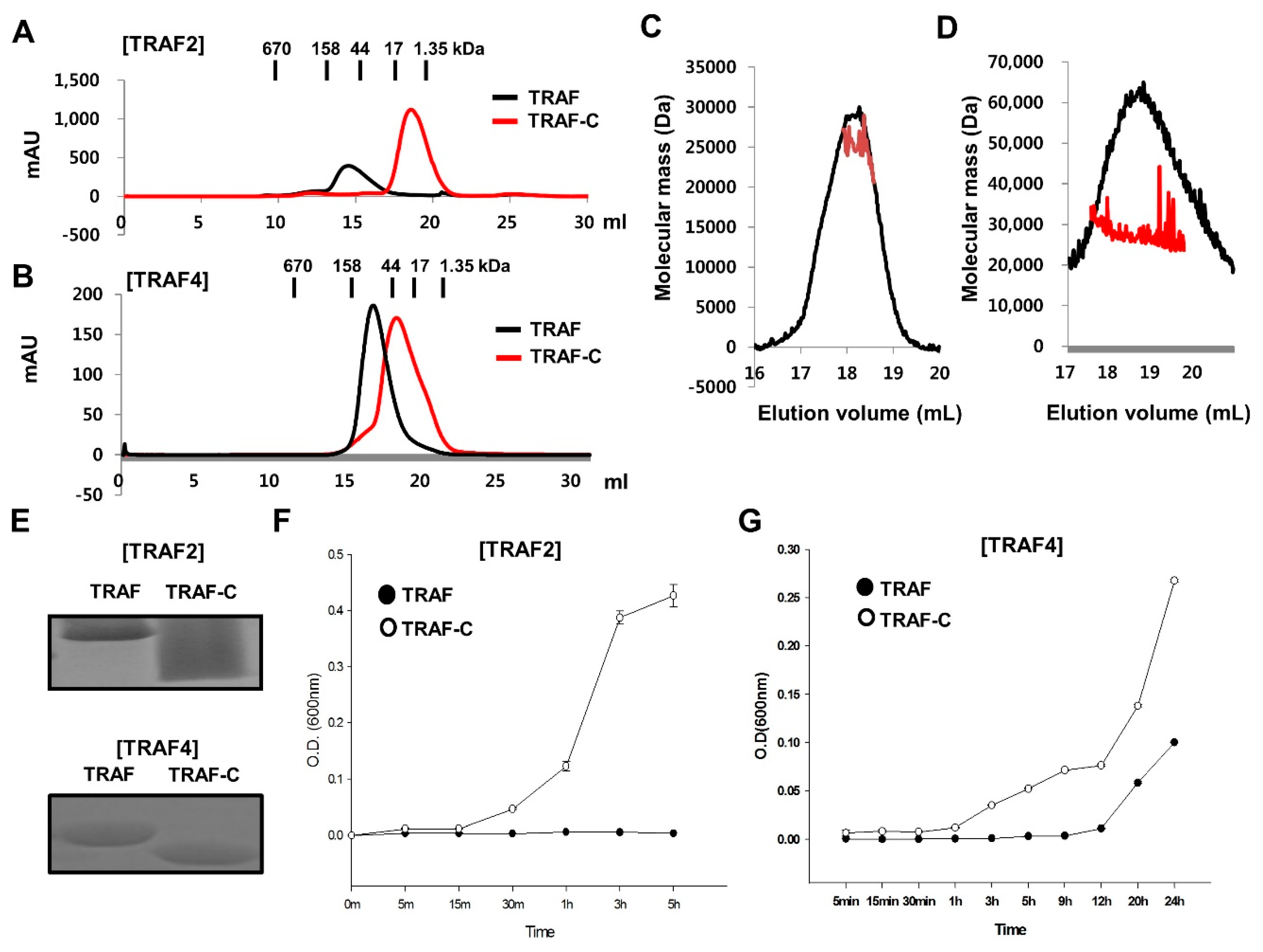 Ijms 19 02457 g004 Ijms 19 02457 g004