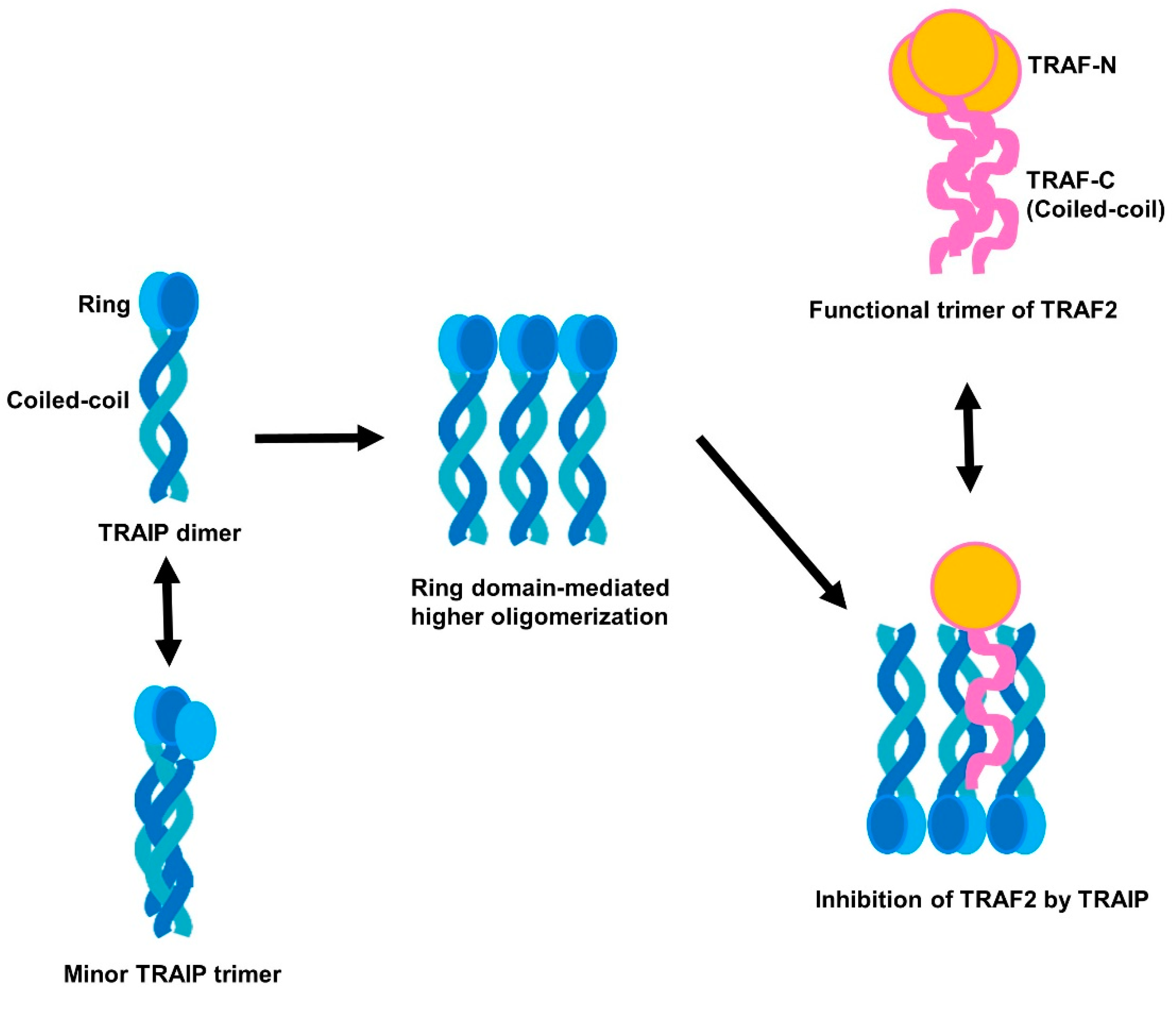 Ijms 19 02457 g006 Ijms 19 02457 g006