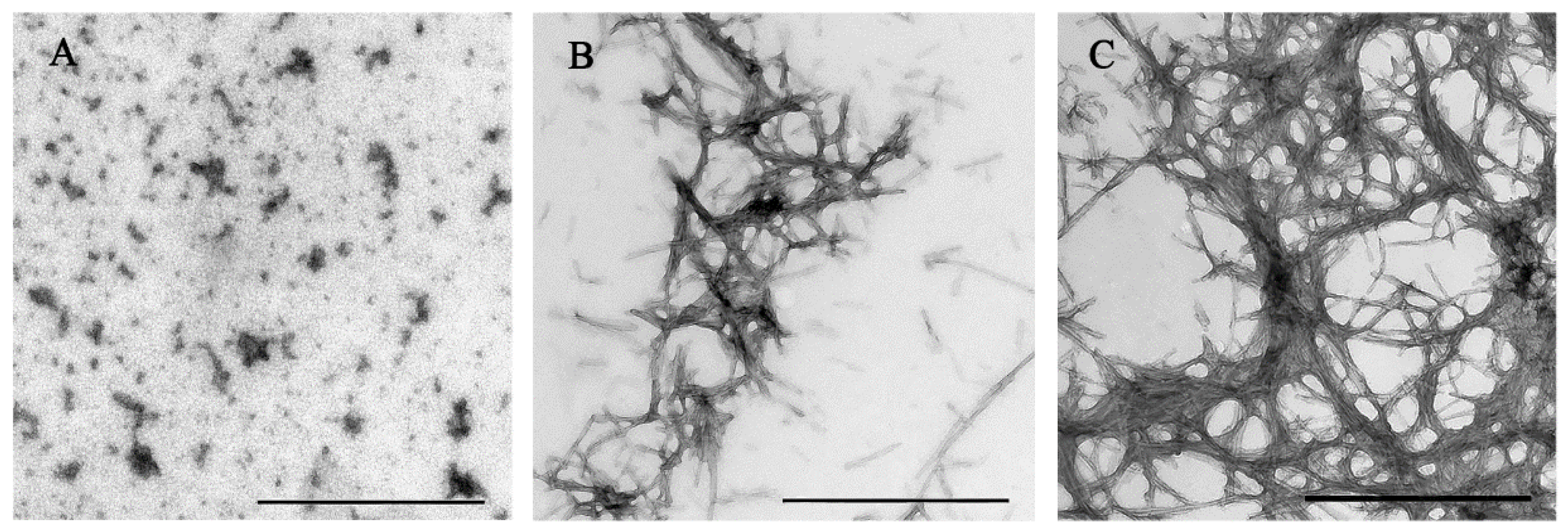 Ijms 19 02486 g001