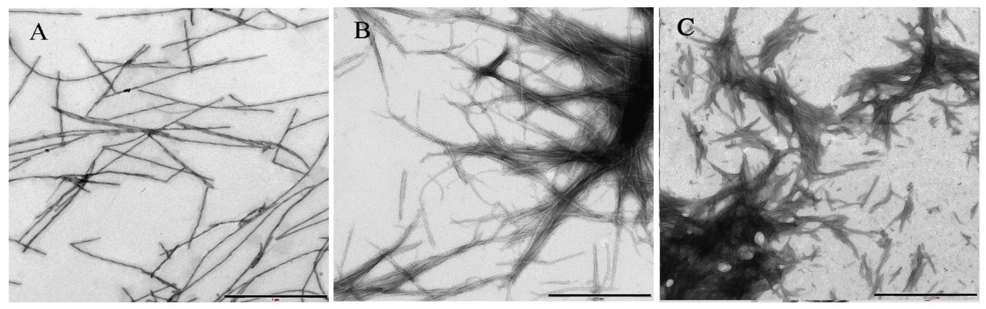 Ijms 19 02486 g006