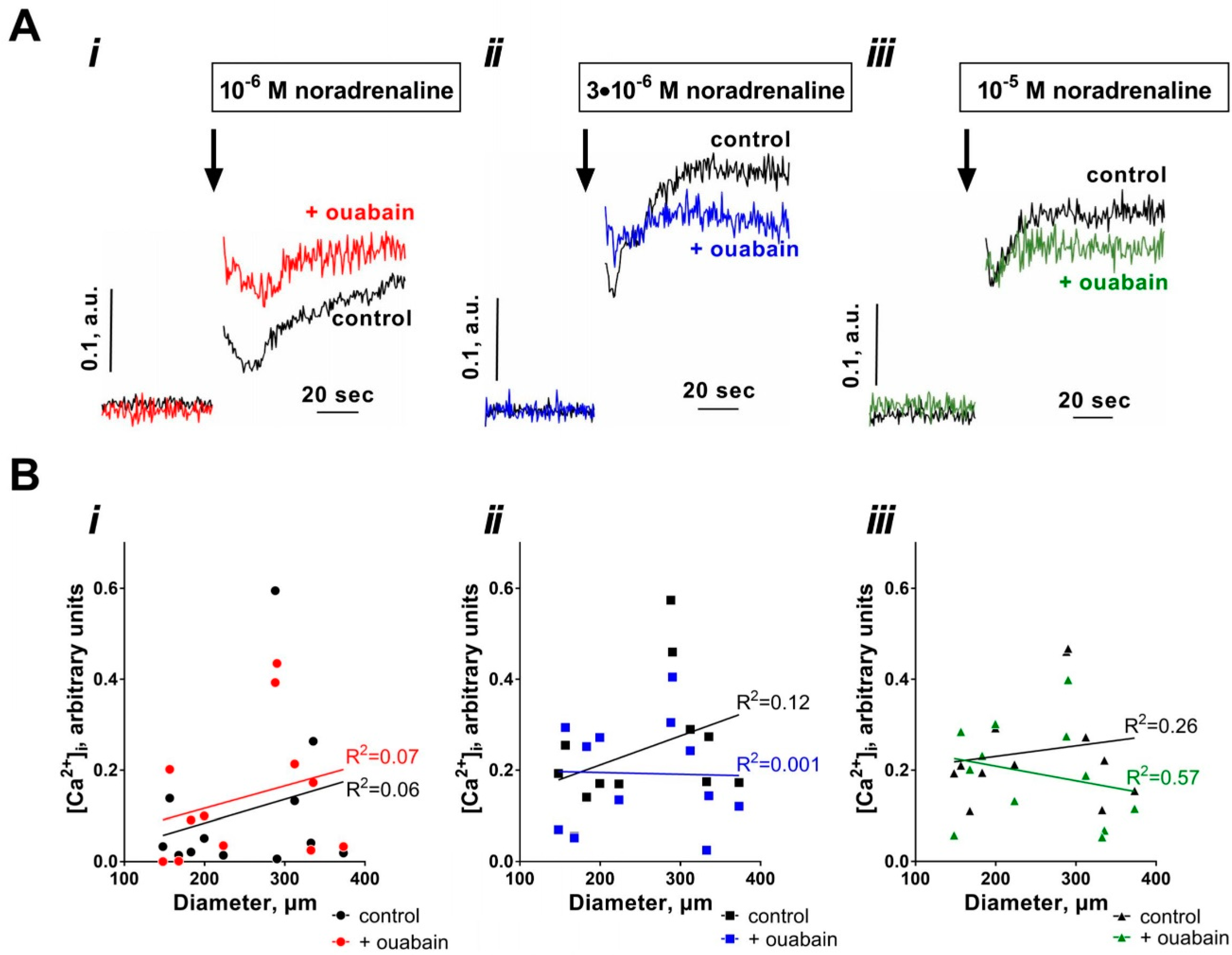 Ijms 19 02489 g003 Ijms 19 02489 g003