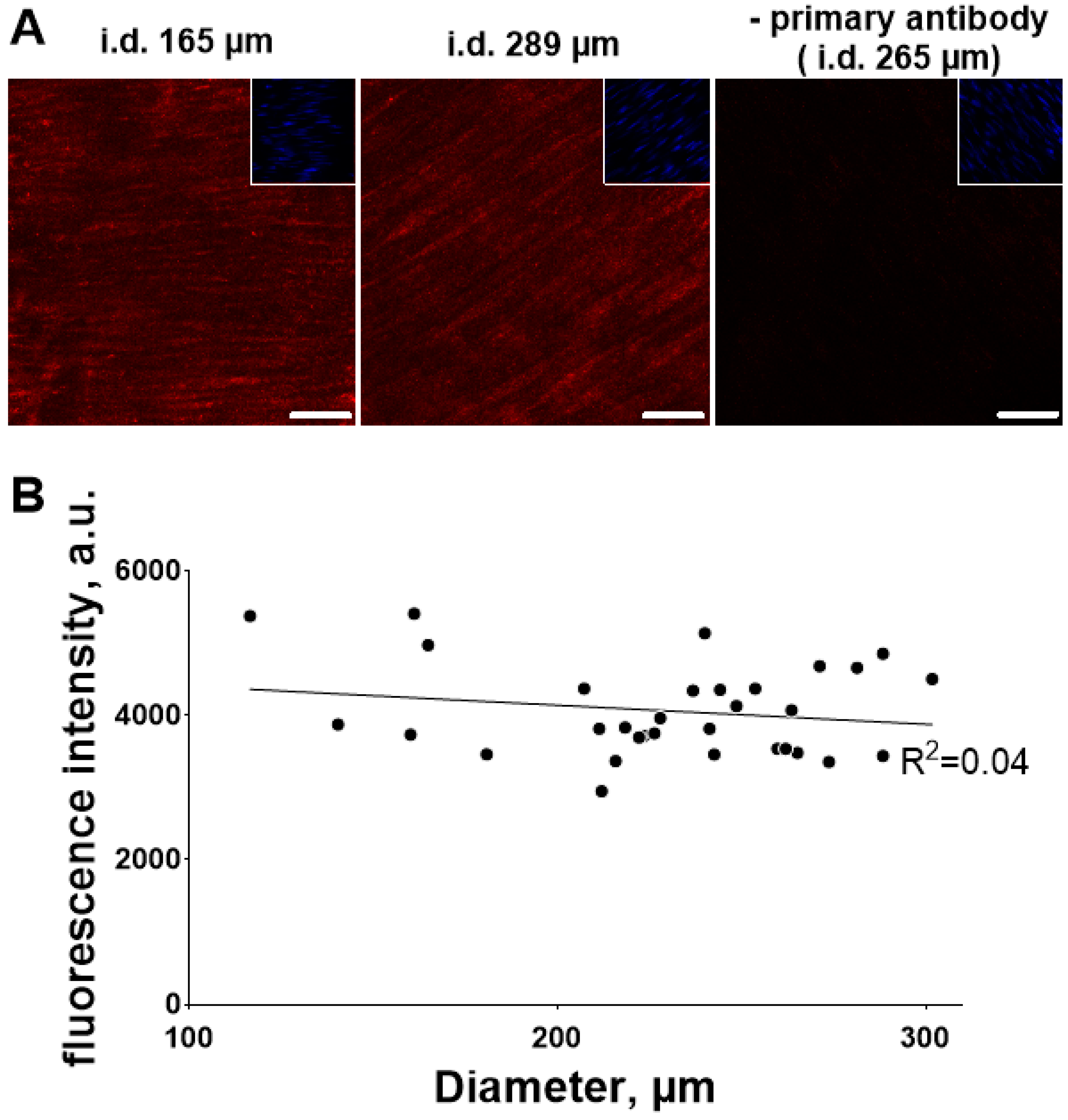 Ijms 19 02489 g007 Ijms 19 02489 g007