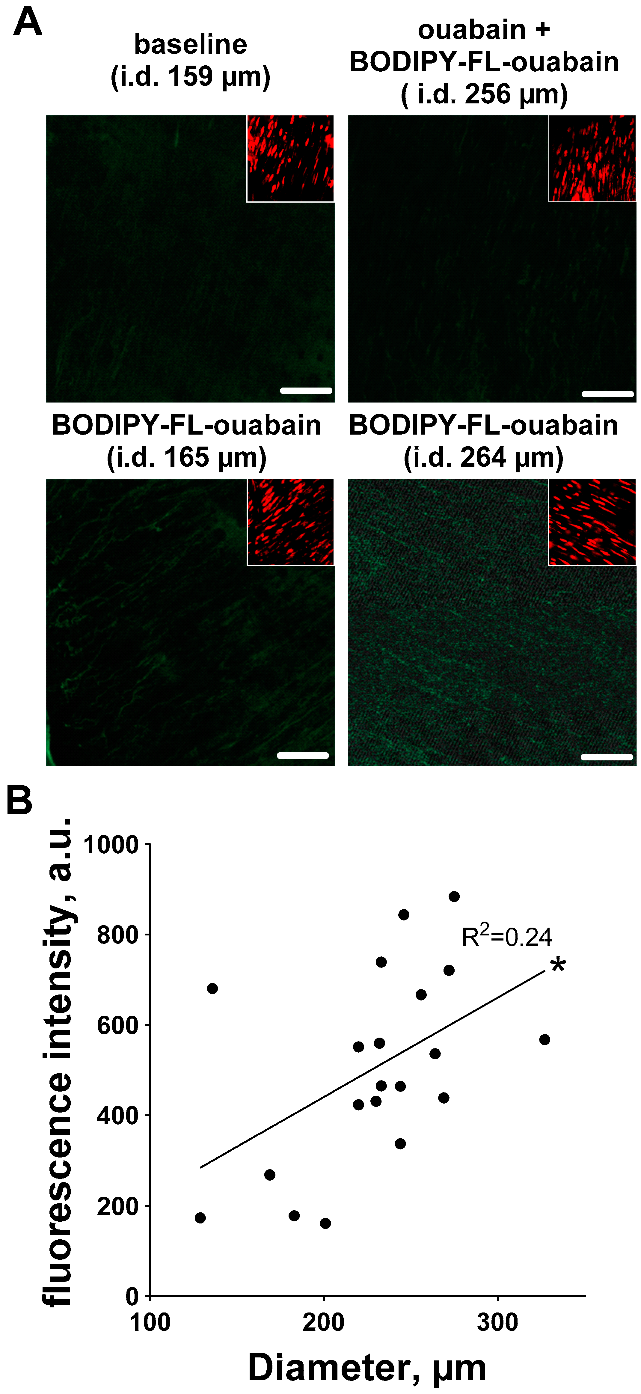 Ijms 19 02489 g008 Ijms 19 02489 g008