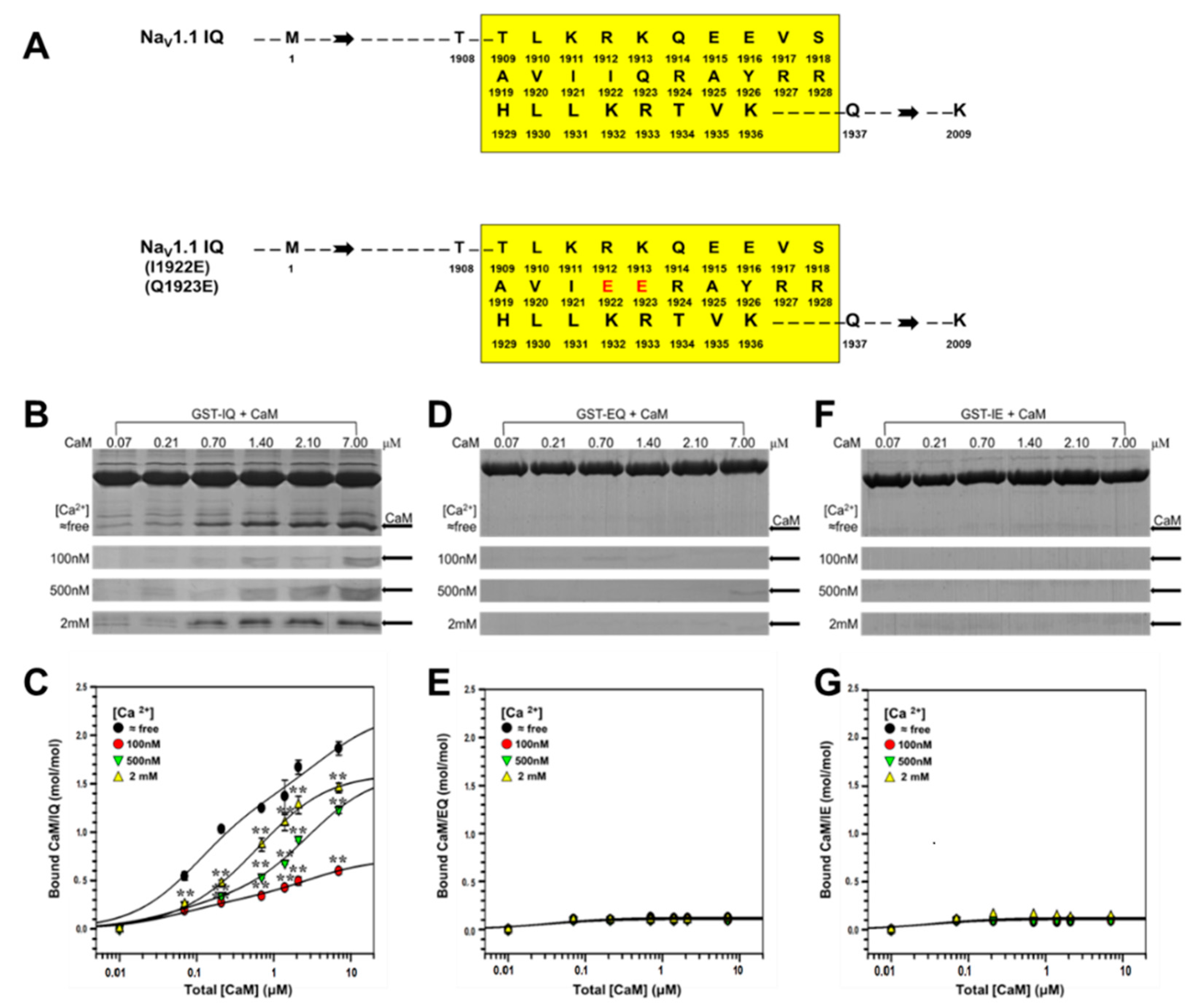 Ijms 19 02495 g002 Ijms 19 02495 g002