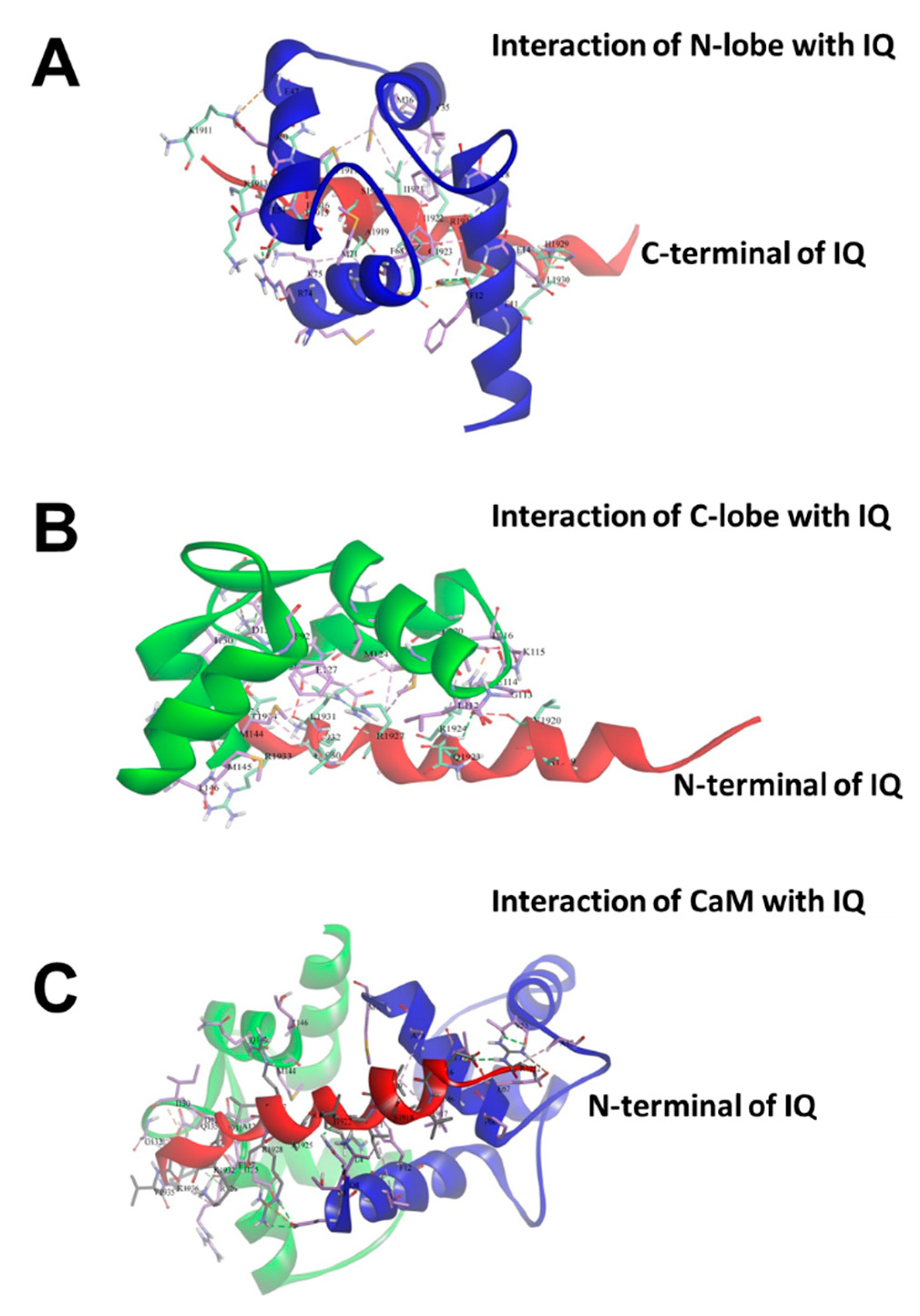 Ijms 19 02495 g004 Ijms 19 02495 g004