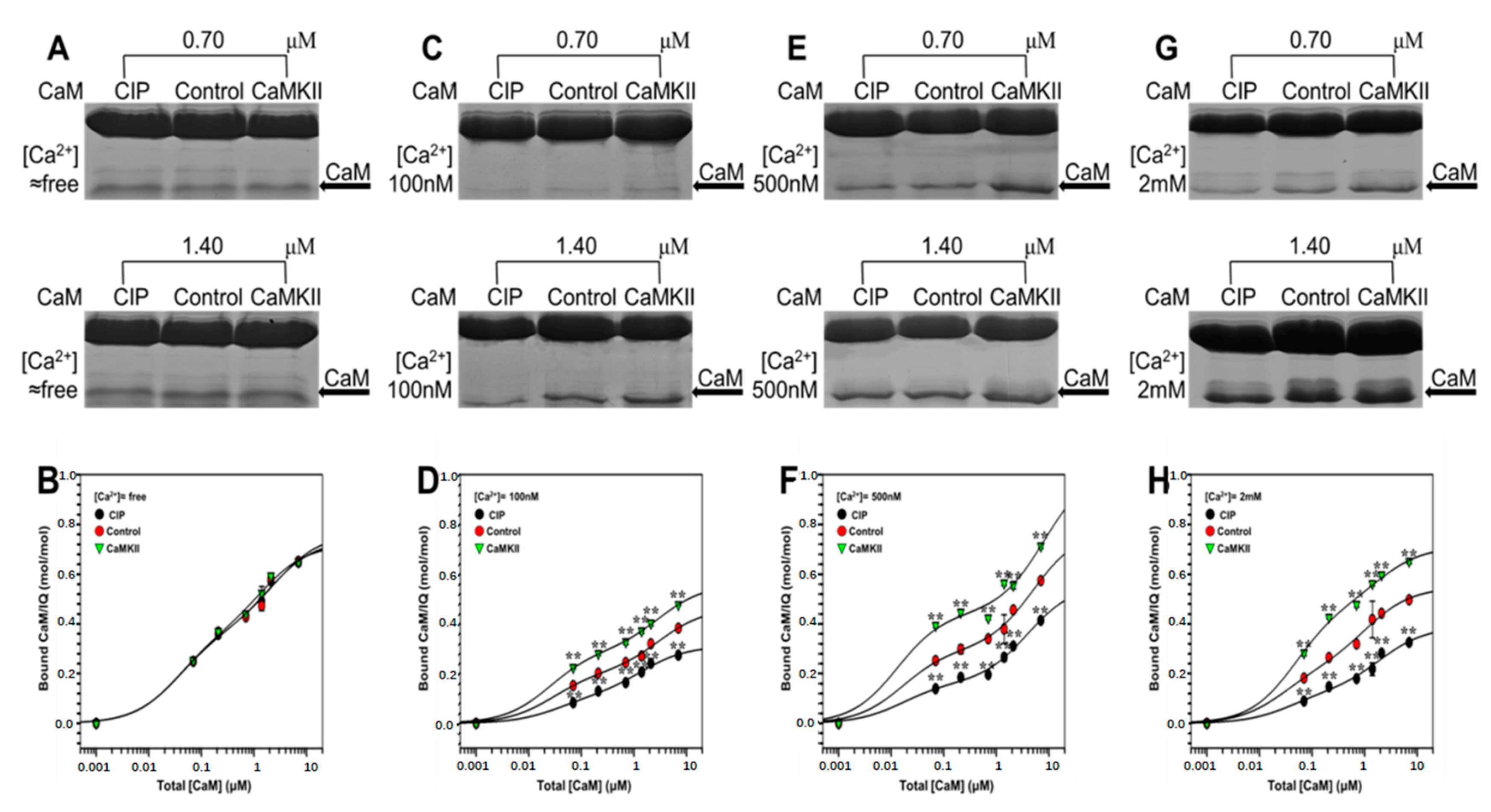Ijms 19 02495 g006 Ijms 19 02495 g006