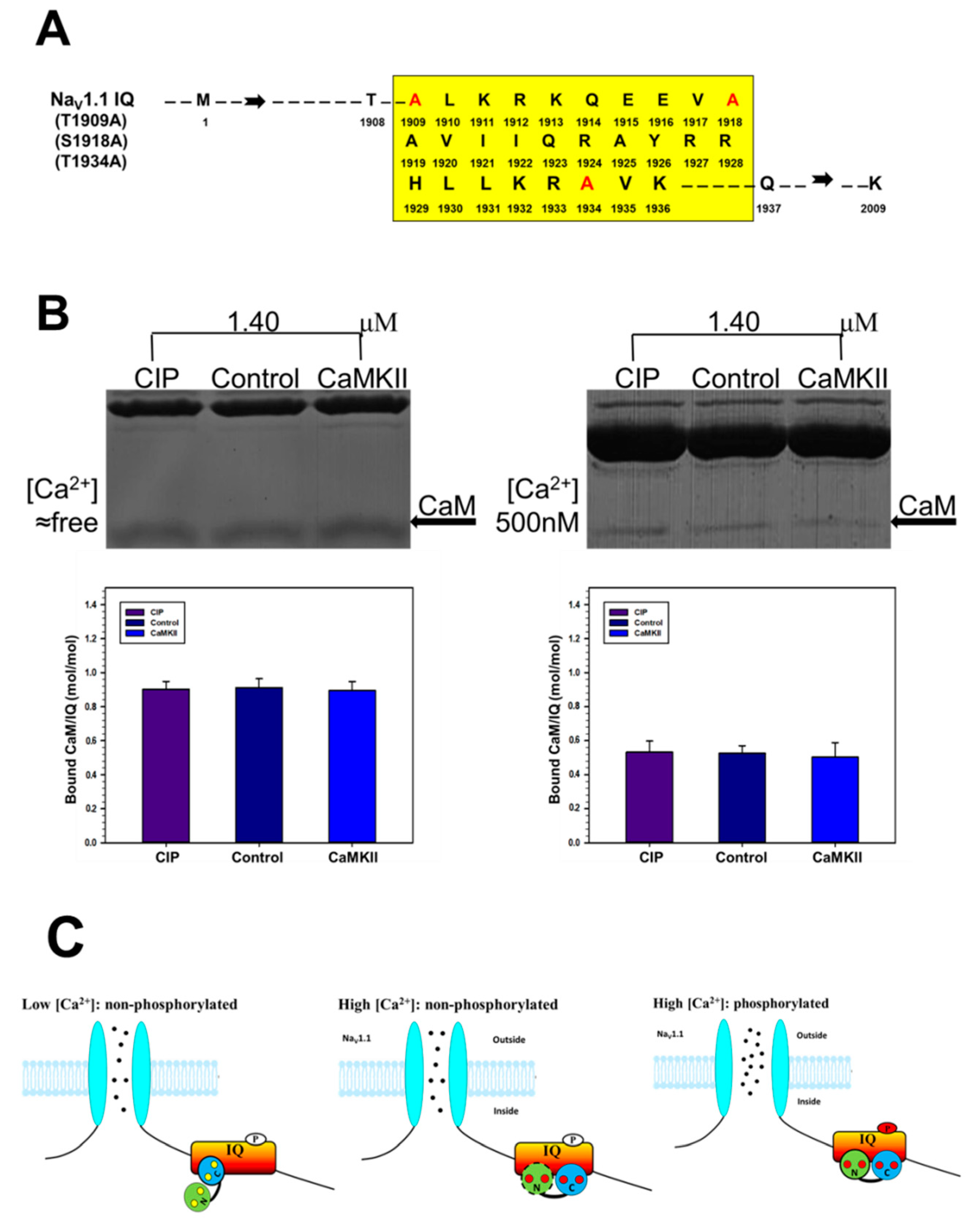 Ijms 19 02495 g007 Ijms 19 02495 g007
