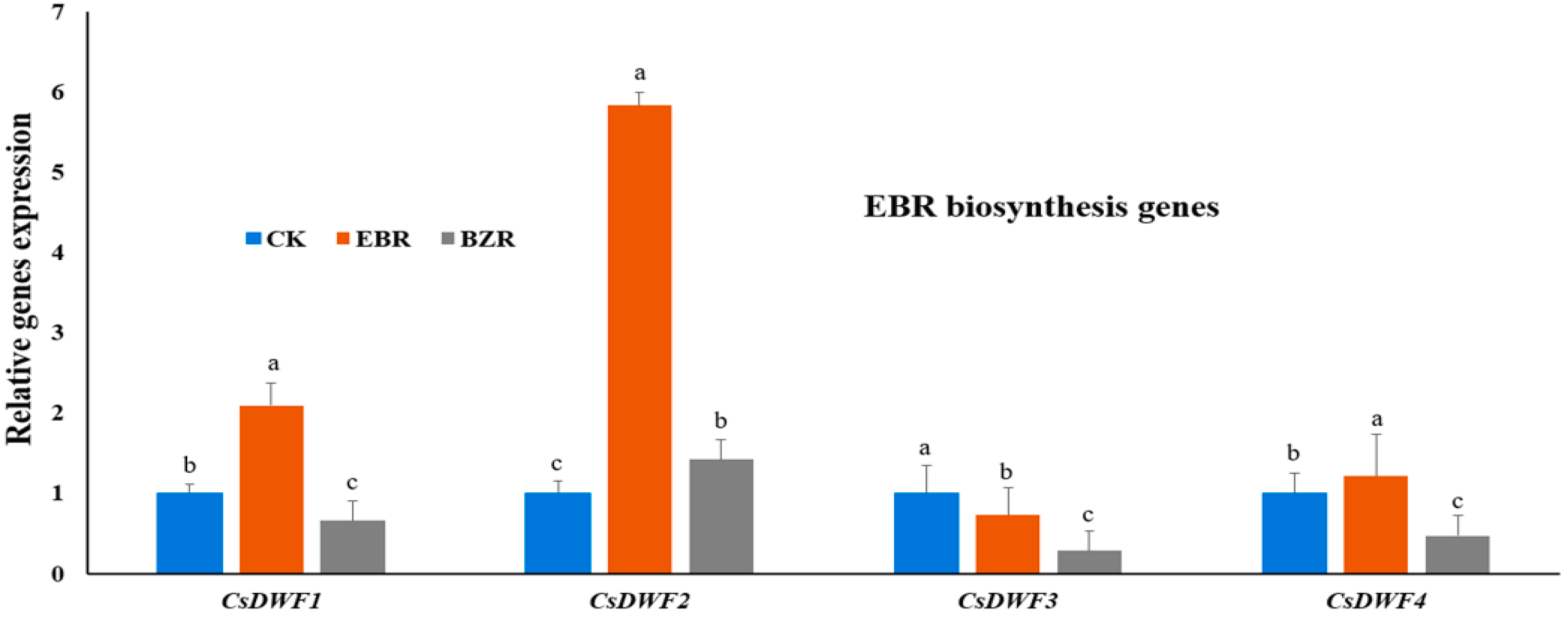 Ijms 19 02497 g005 Ijms 19 02497 g005