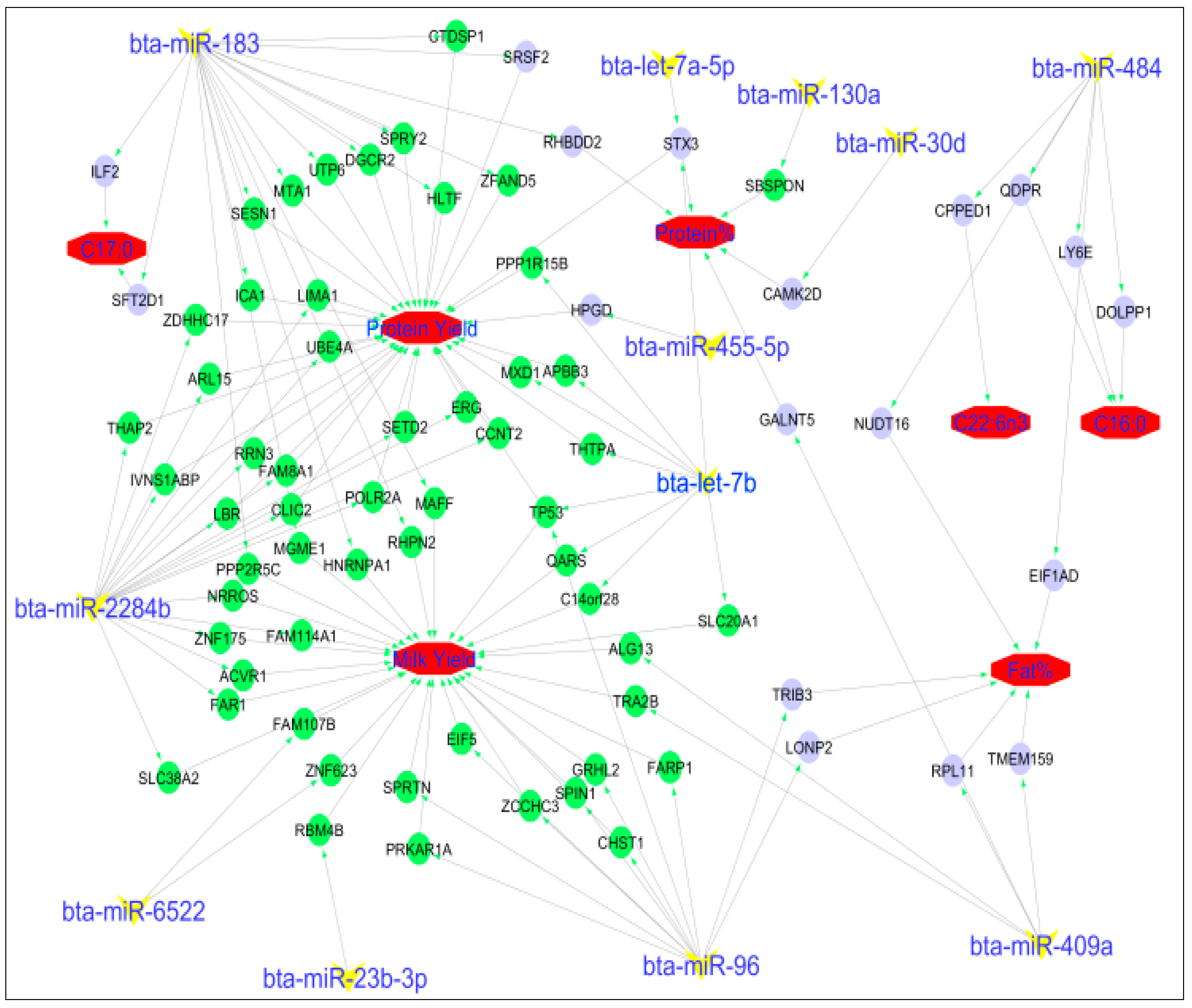Ijms 19 02500 g004 Ijms 19 02500 g004