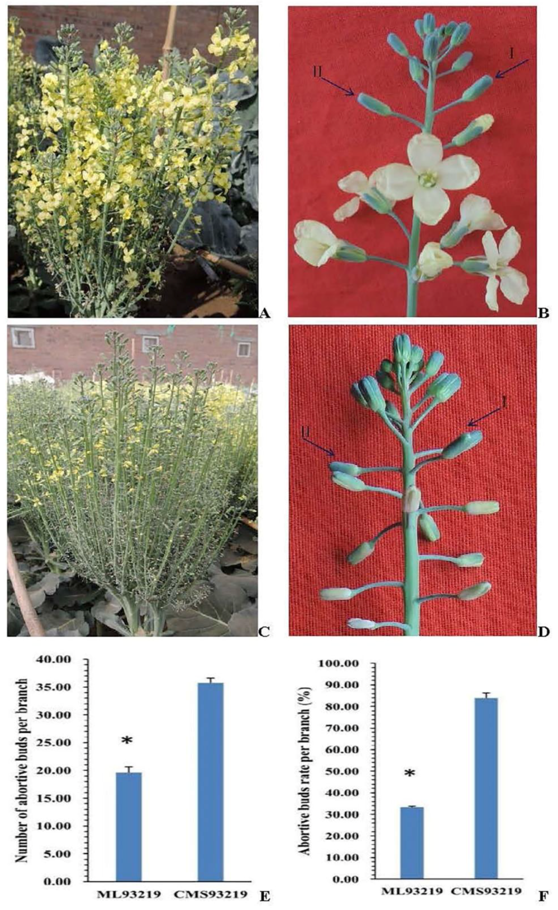 Ijms 19 02501 g001 Ijms 19 02501 g001