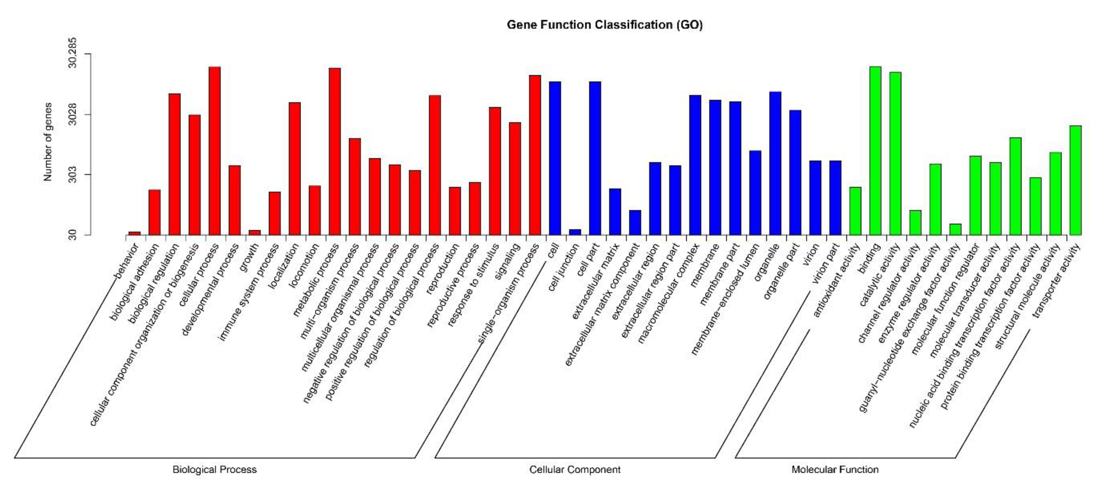 Ijms 19 02501 g003 Ijms 19 02501 g003