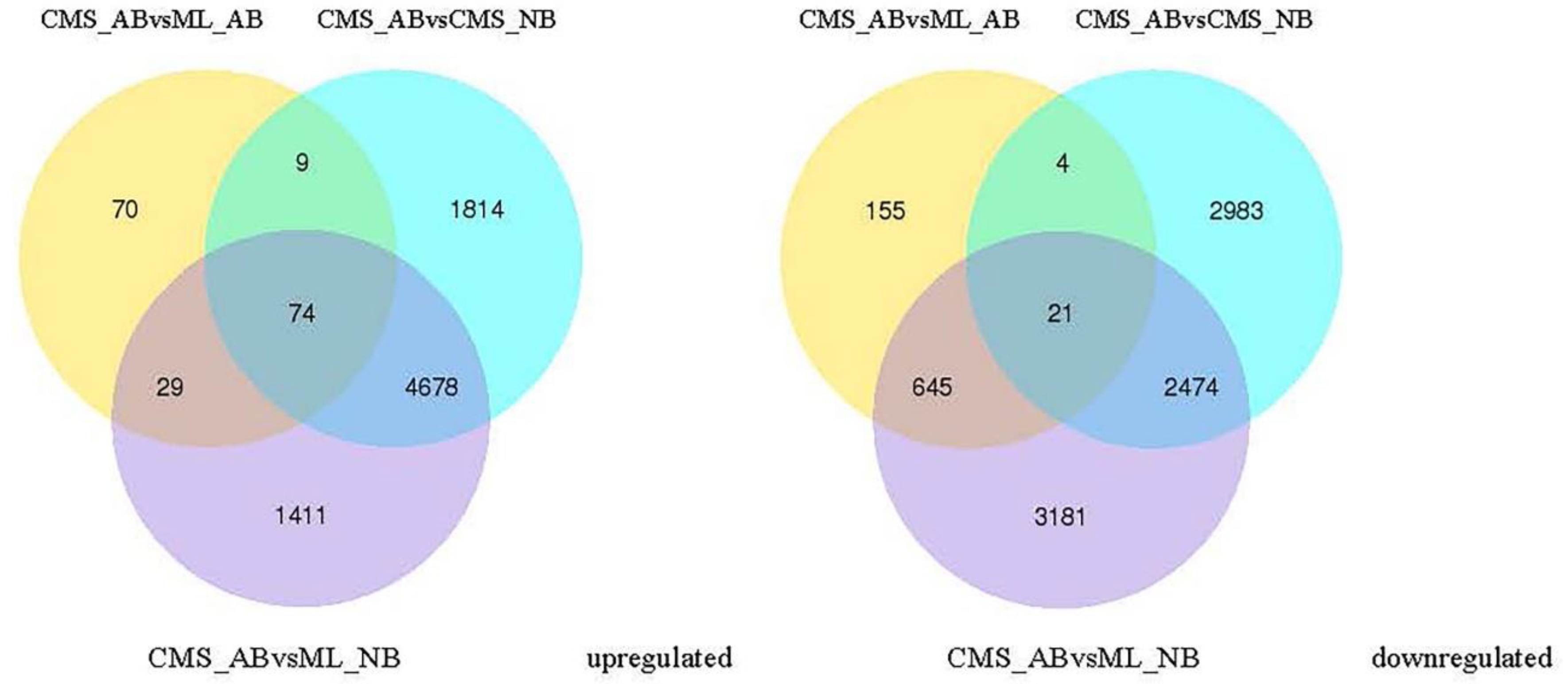 Ijms 19 02501 g007 Ijms 19 02501 g007