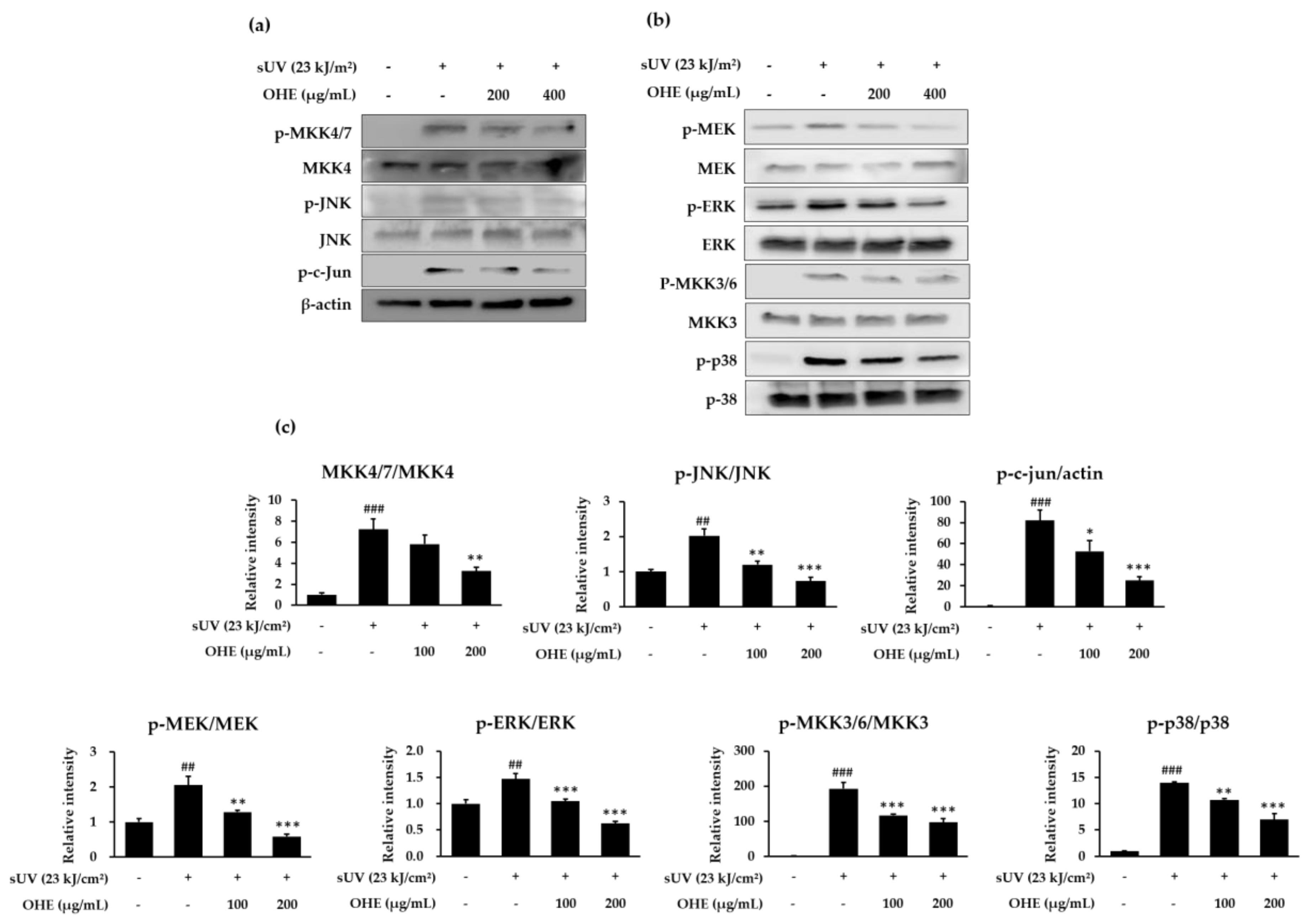 Ijms 19 02503 g006