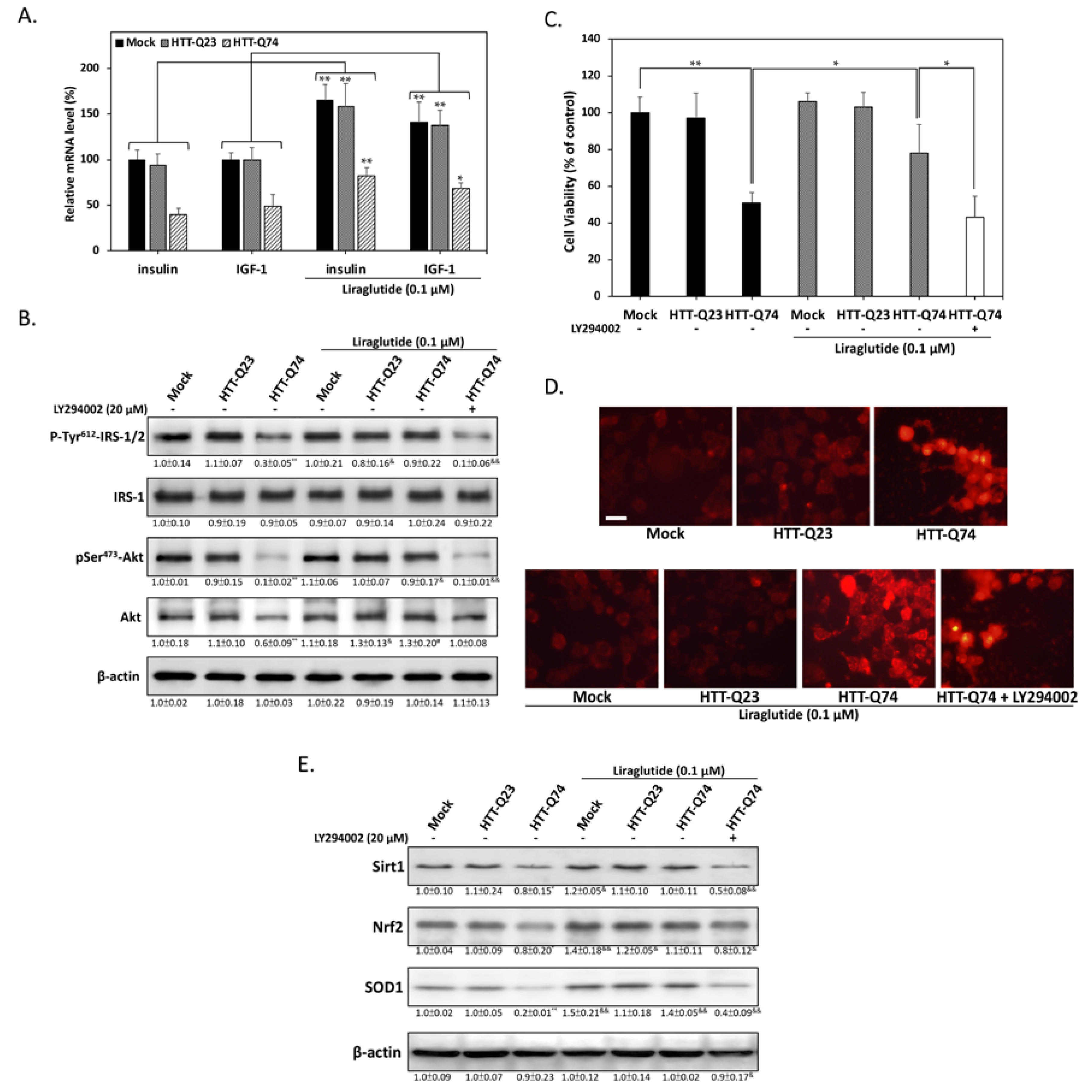 Ijms 19 02505 g003 Ijms 19 02505 g003