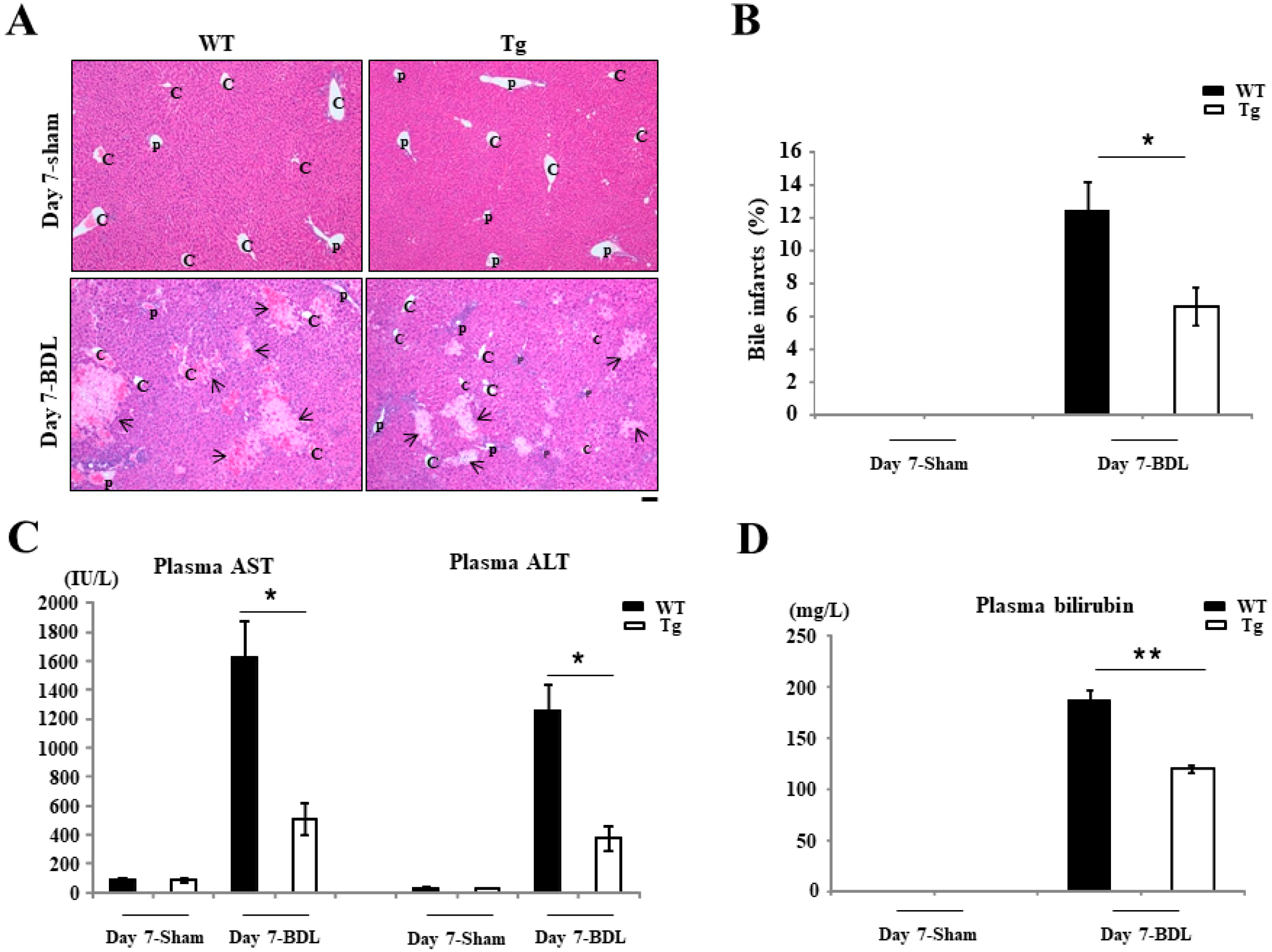 Ijms 19 02509 g001 Ijms 19 02509 g001