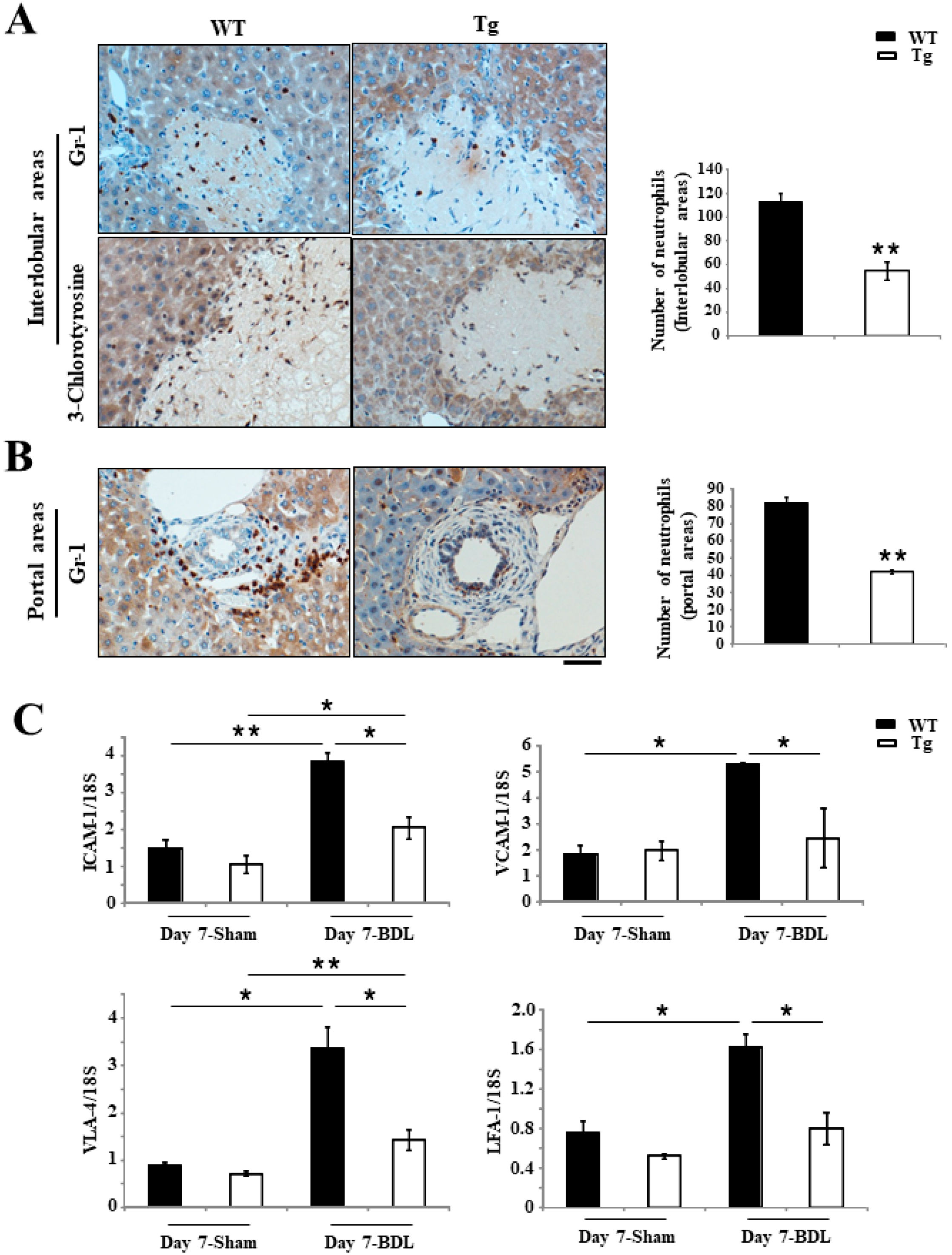 Ijms 19 02509 g003 Ijms 19 02509 g003