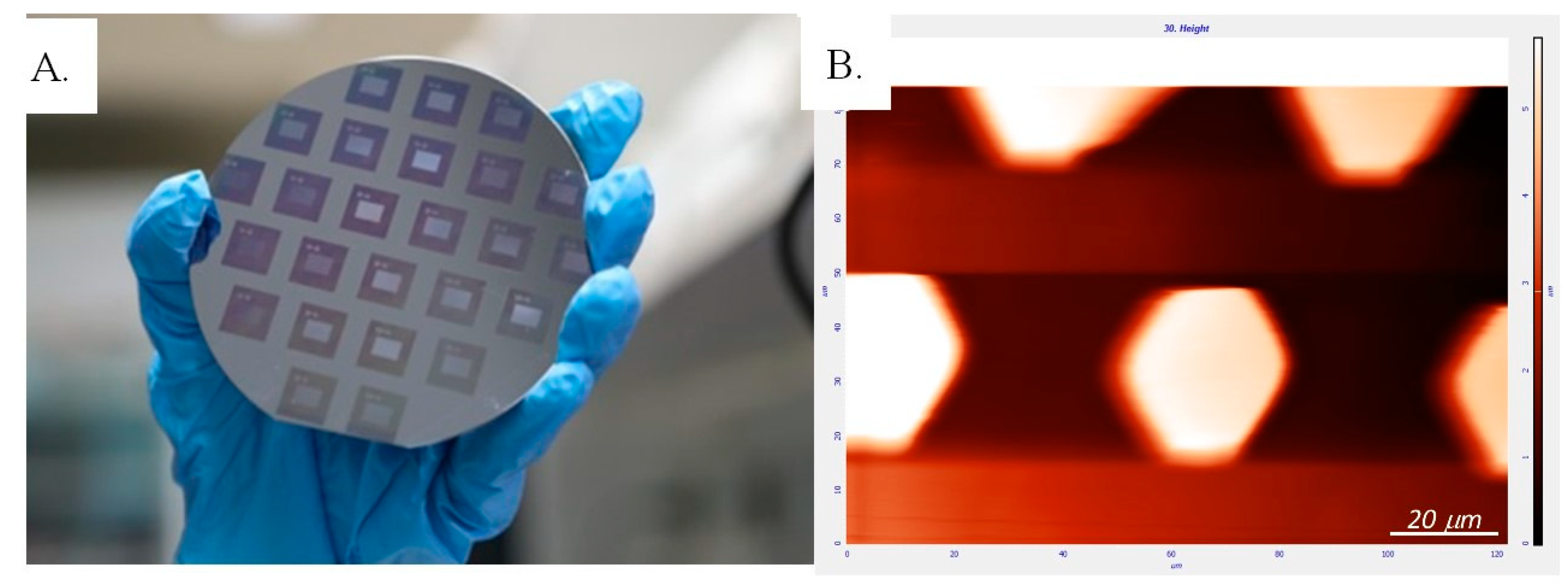 pdms scaffold meaning pdms scaffold meaning