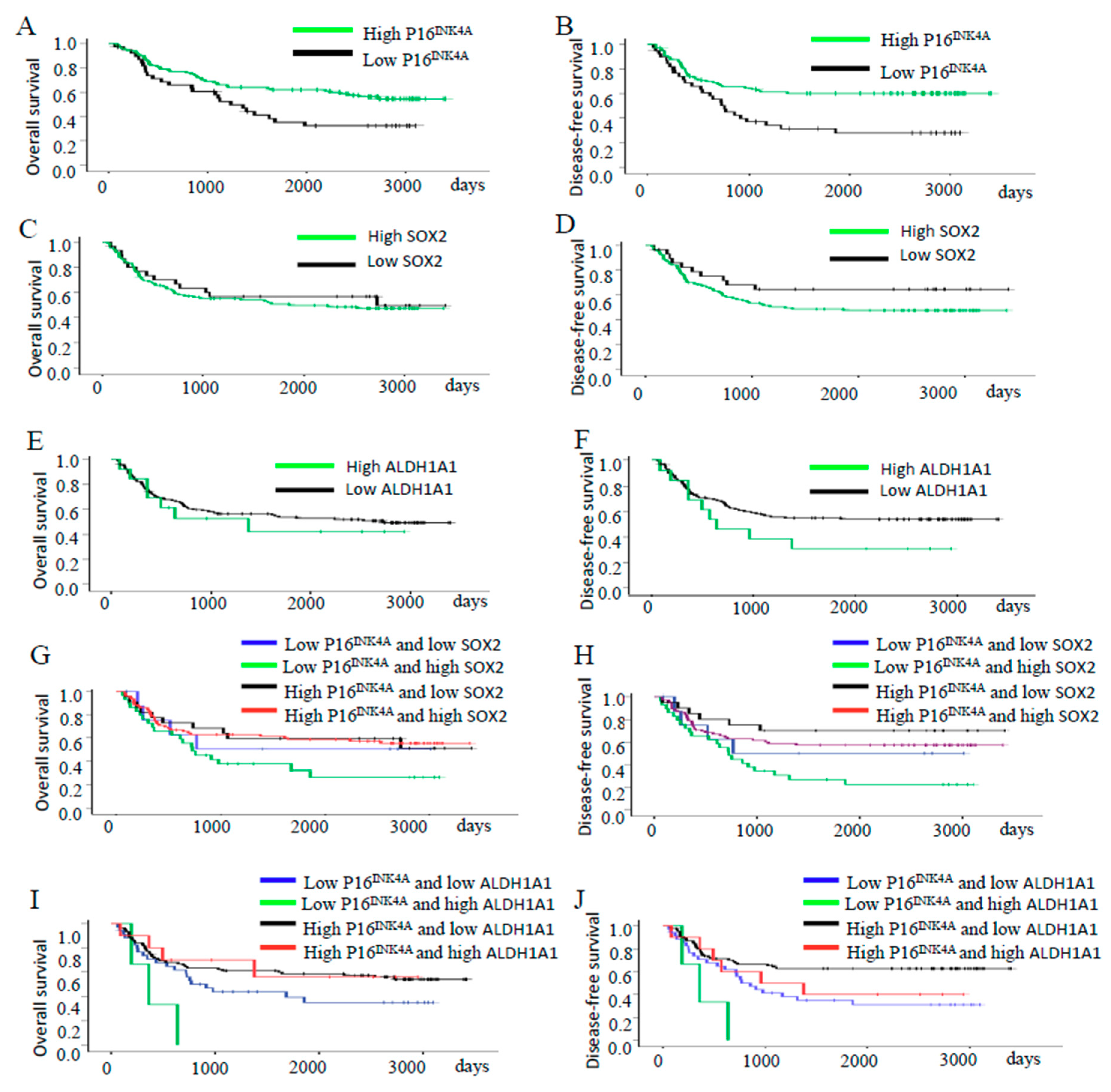 Ijms 19 02541 g003 Ijms 19 02541 g003