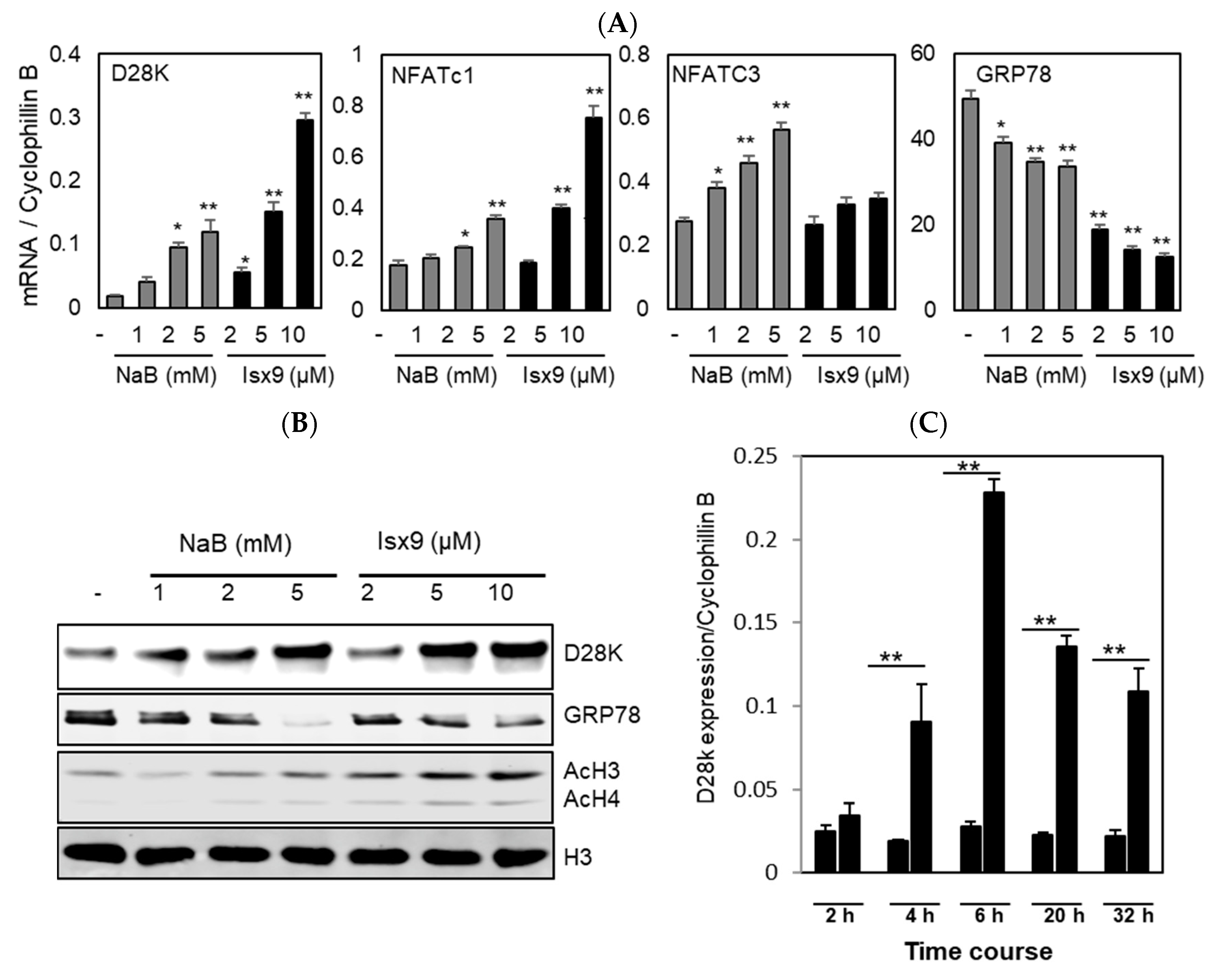 Ijms 19 02542 g001a Ijms 19 02542 g001a