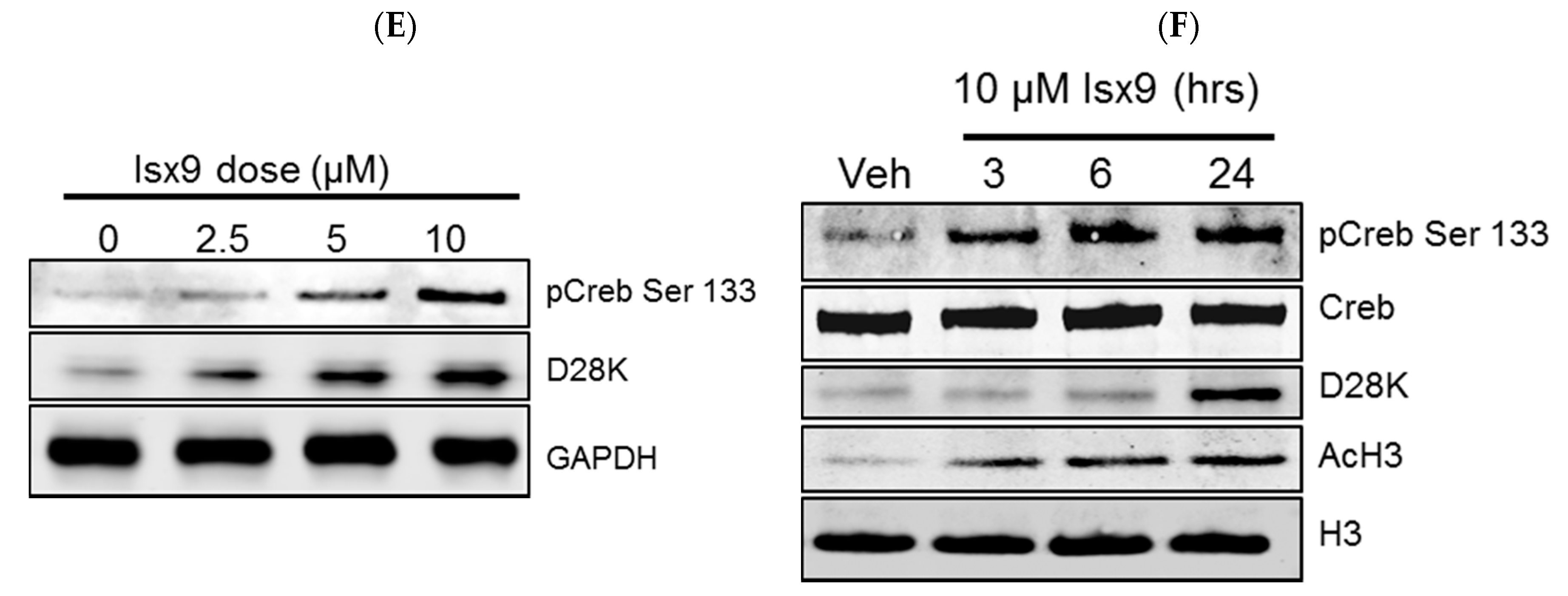 Ijms 19 02542 g002b Ijms 19 02542 g002b