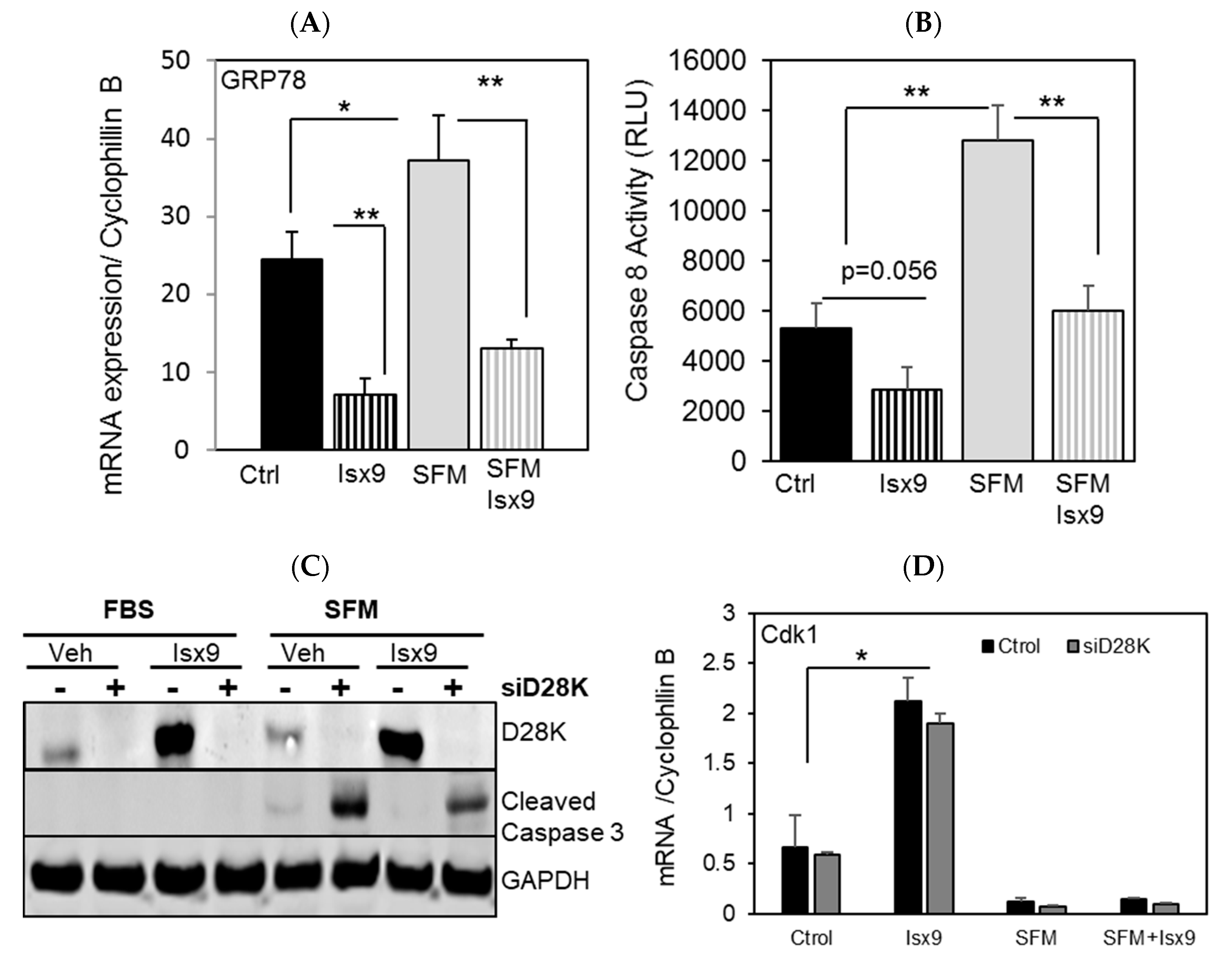 Ijms 19 02542 g004a Ijms 19 02542 g004a