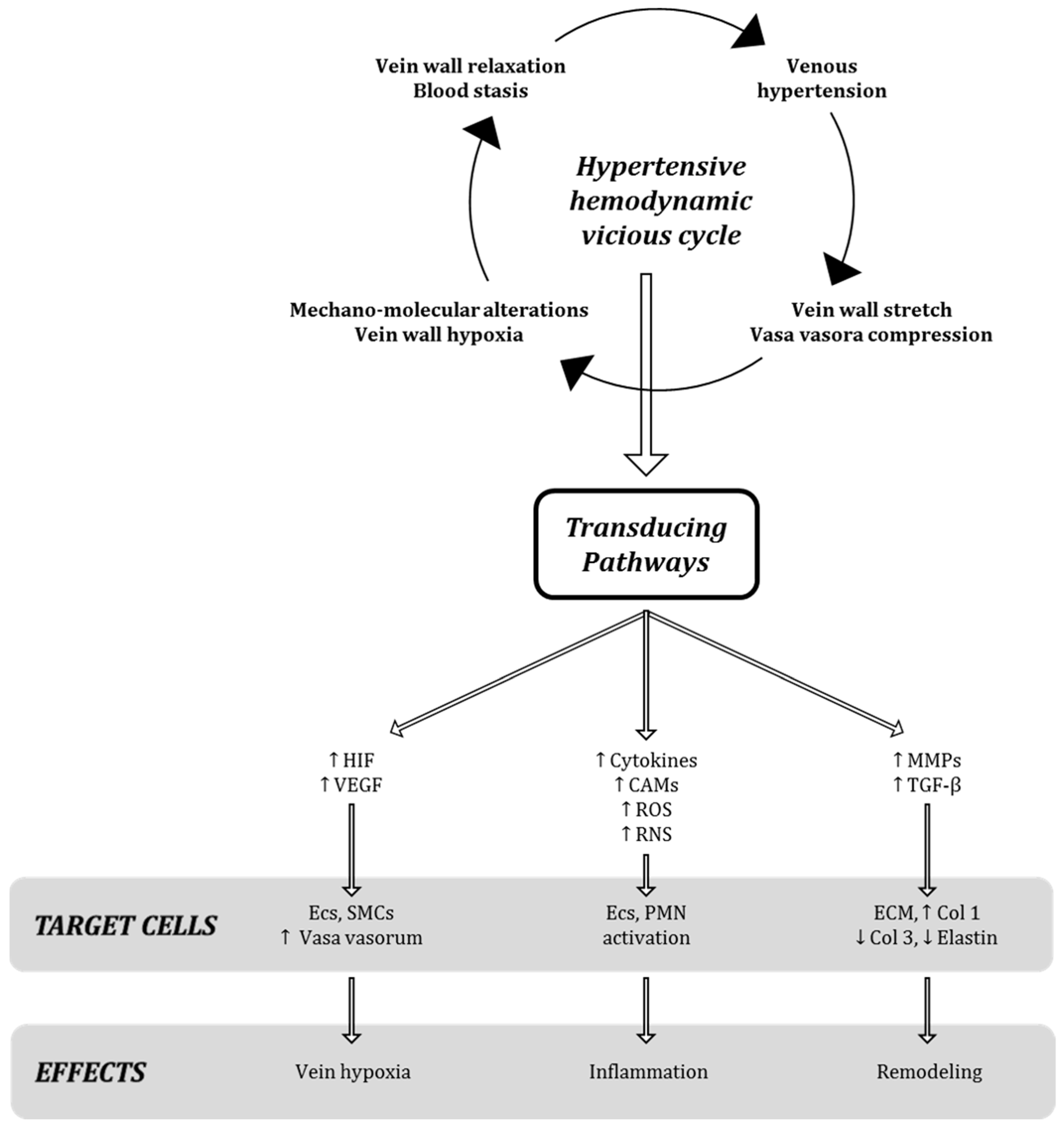 Ijms 19 02544 g002 550