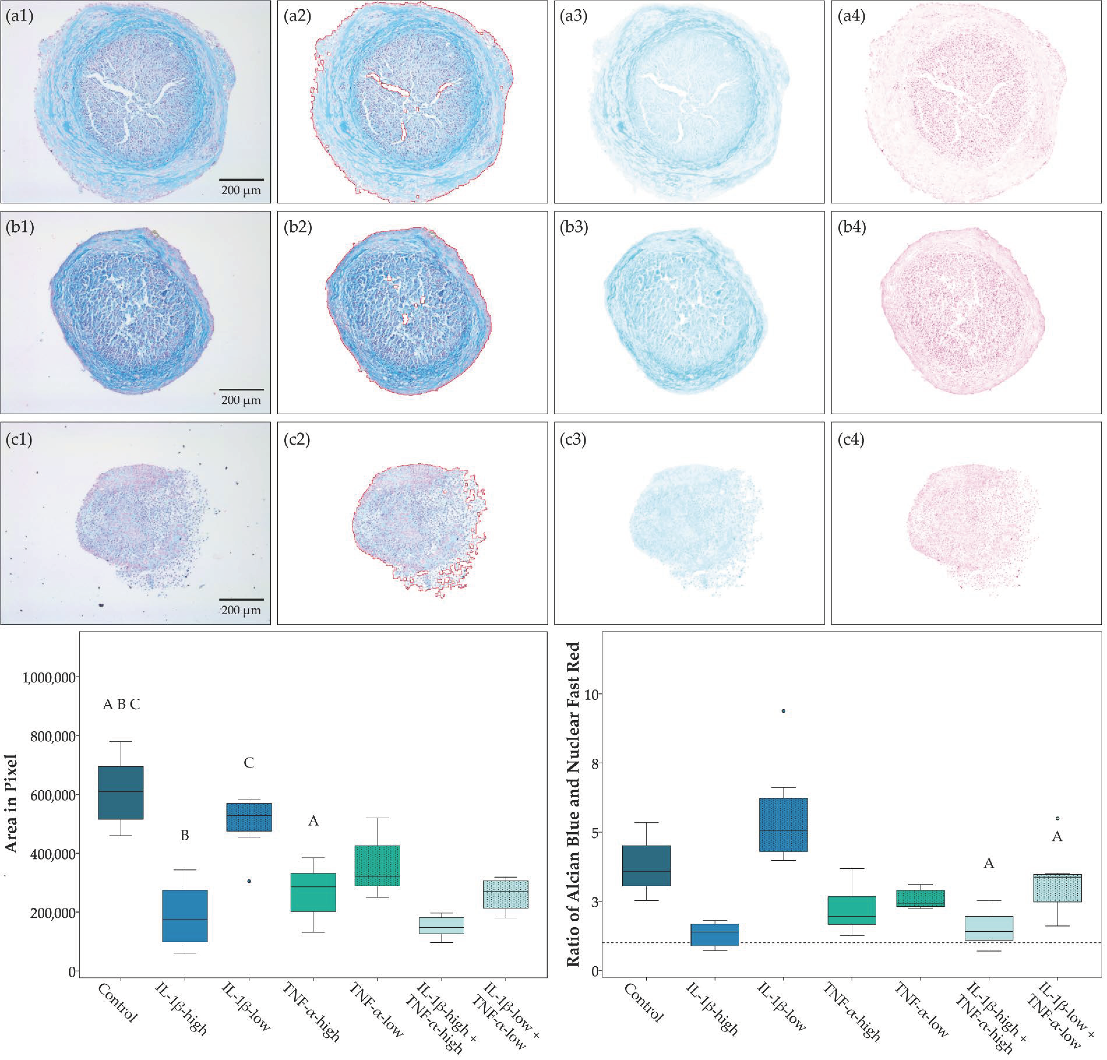 Ijms 19 02549 g002 Ijms 19 02549 g002