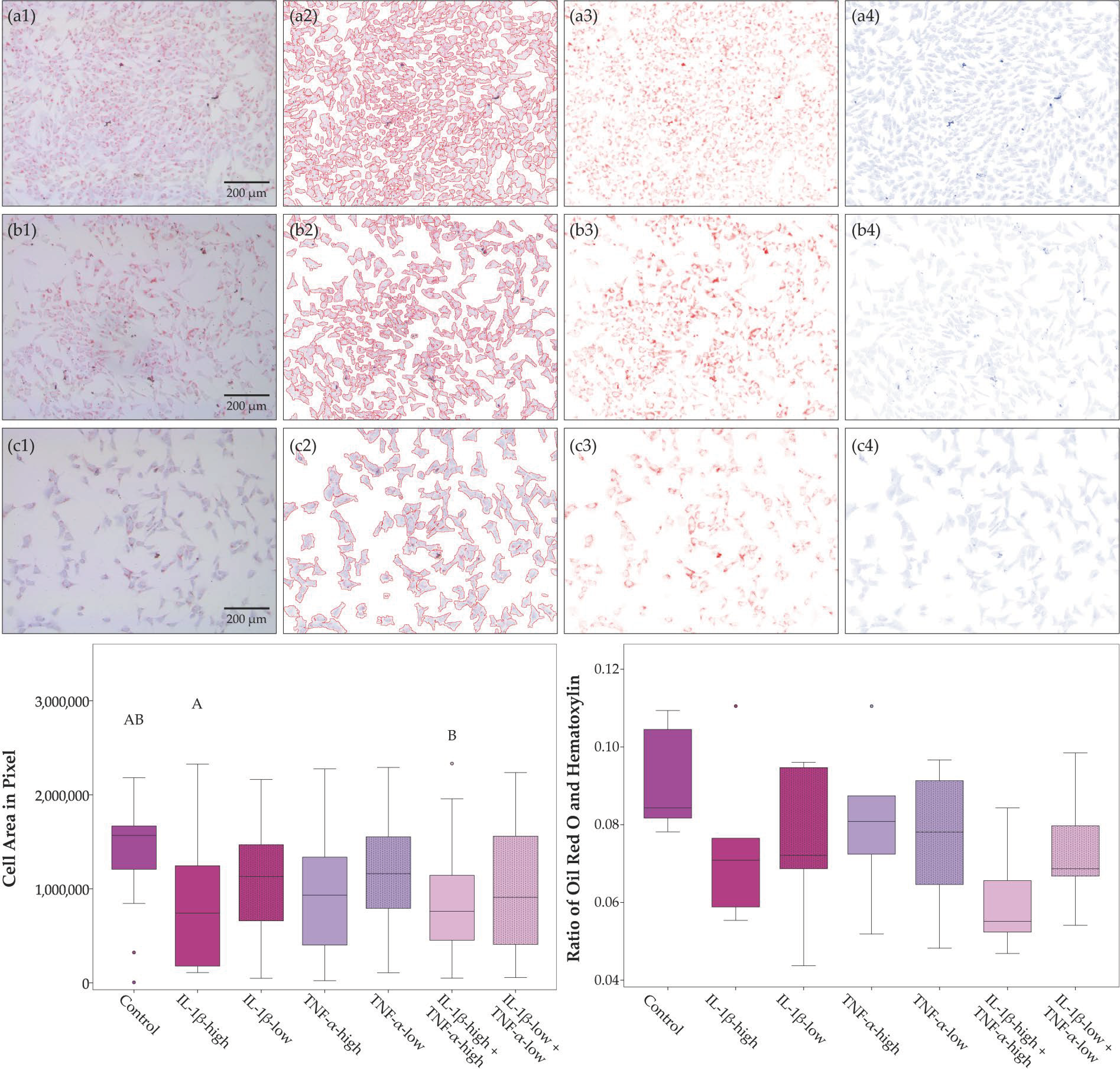 Ijms 19 02549 g003 Ijms 19 02549 g003