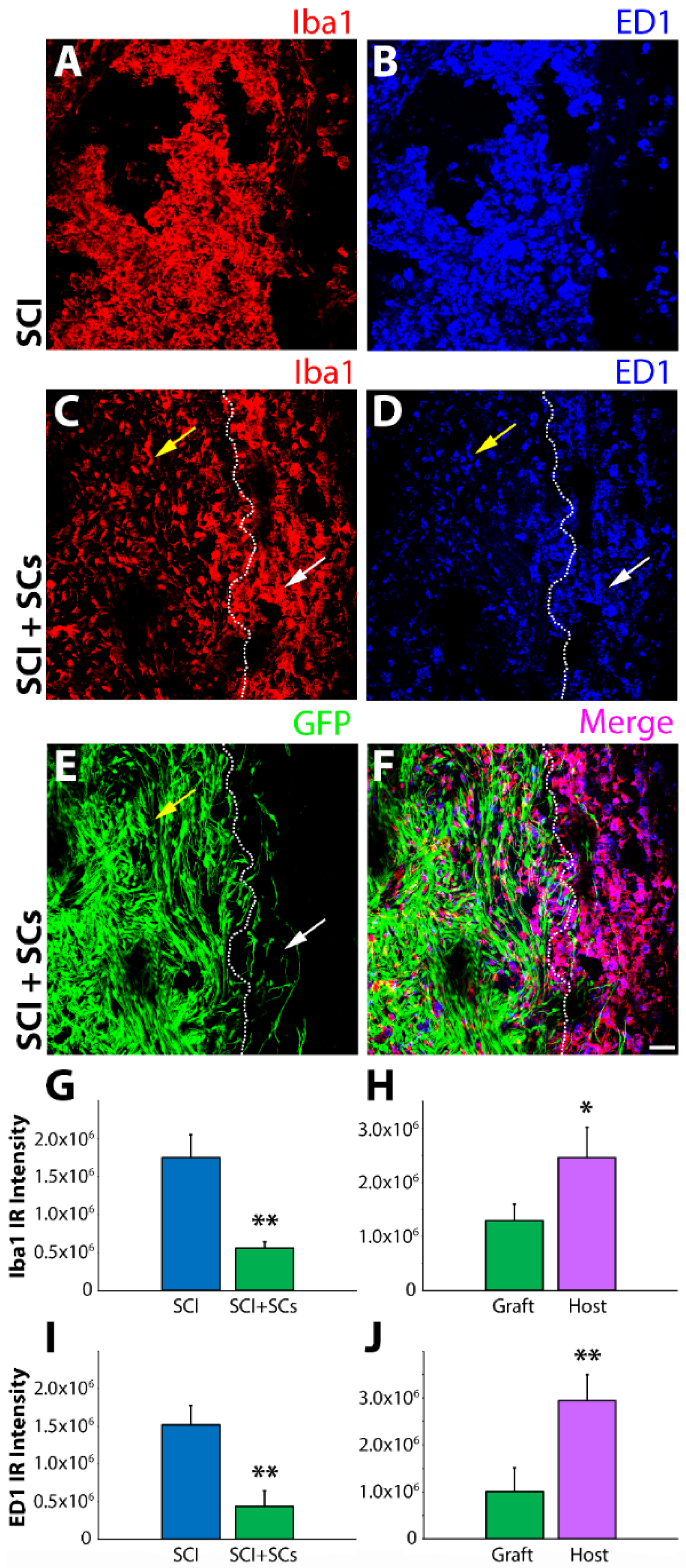 Ijms 19 02550 g001 Ijms 19 02550 g001