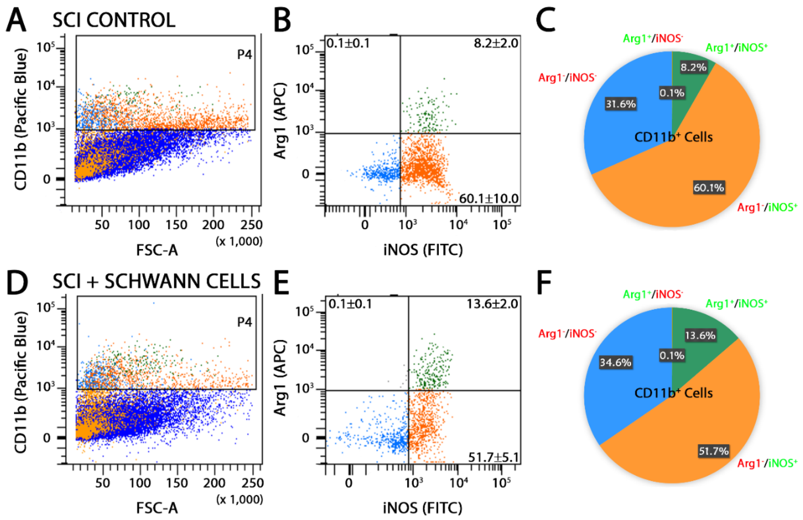 Ijms 19 02550 g002 Ijms 19 02550 g002