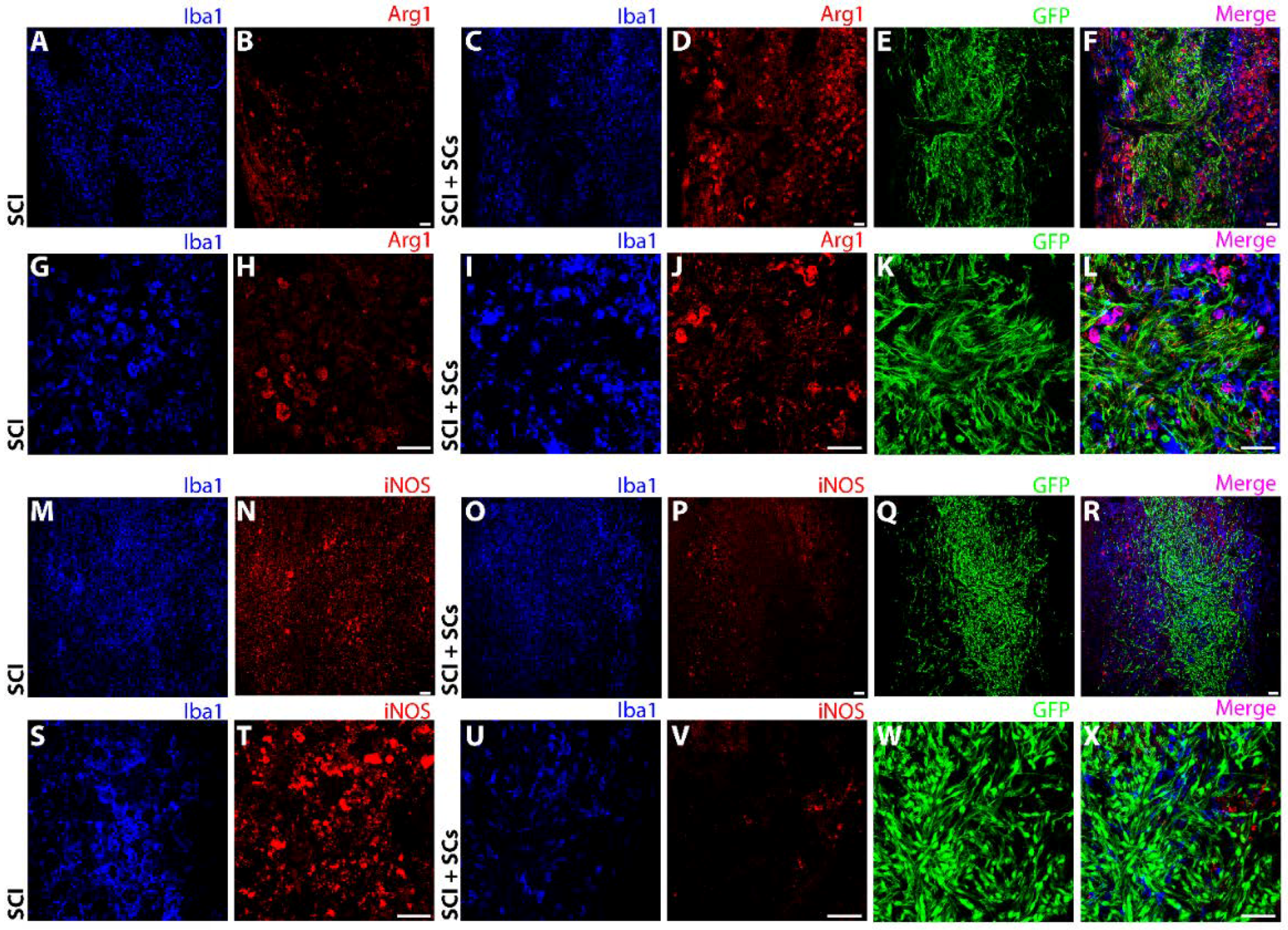 Ijms 19 02550 g007 Ijms 19 02550 g007