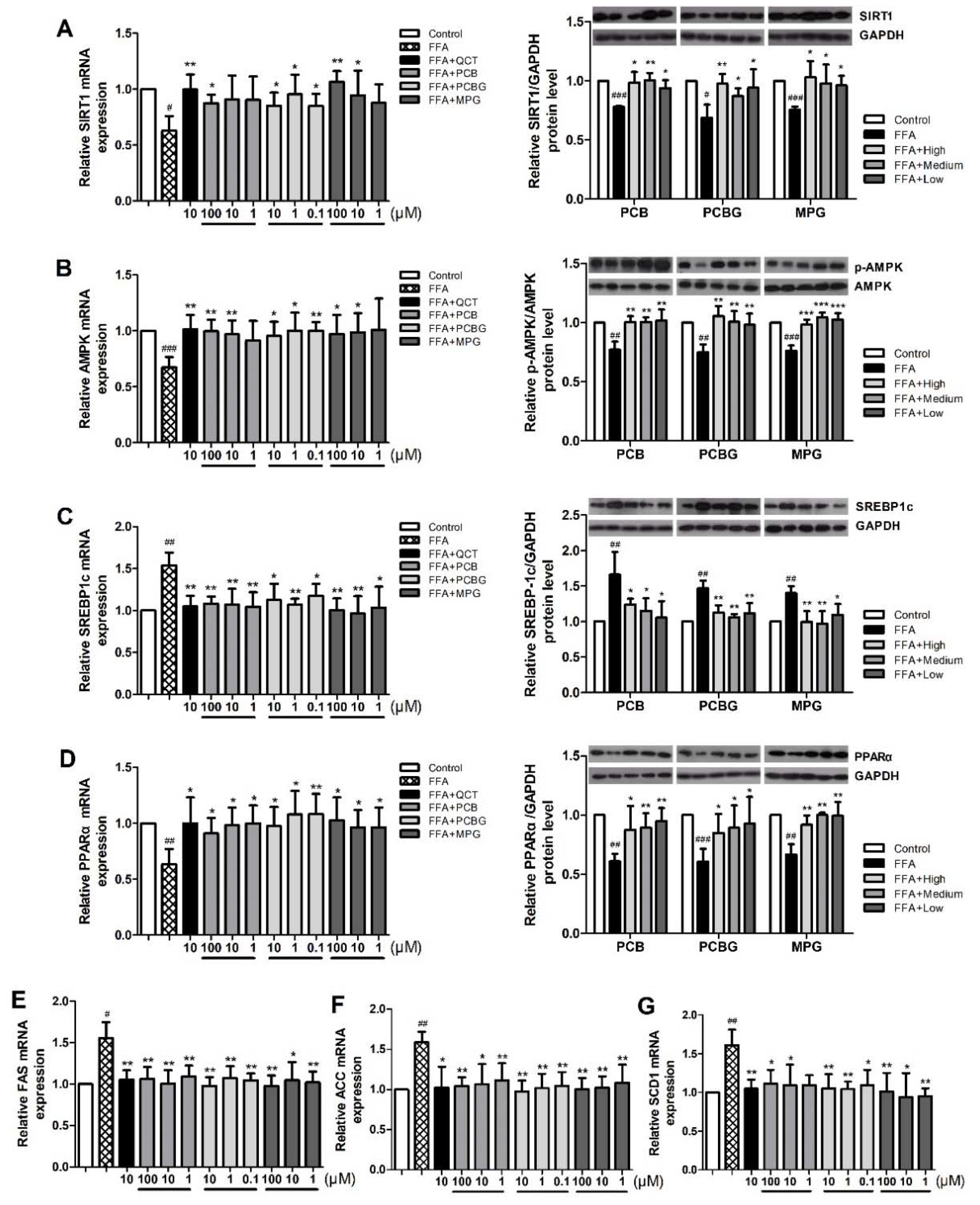 Ijms 19 02555 g005 Ijms 19 02555 g005