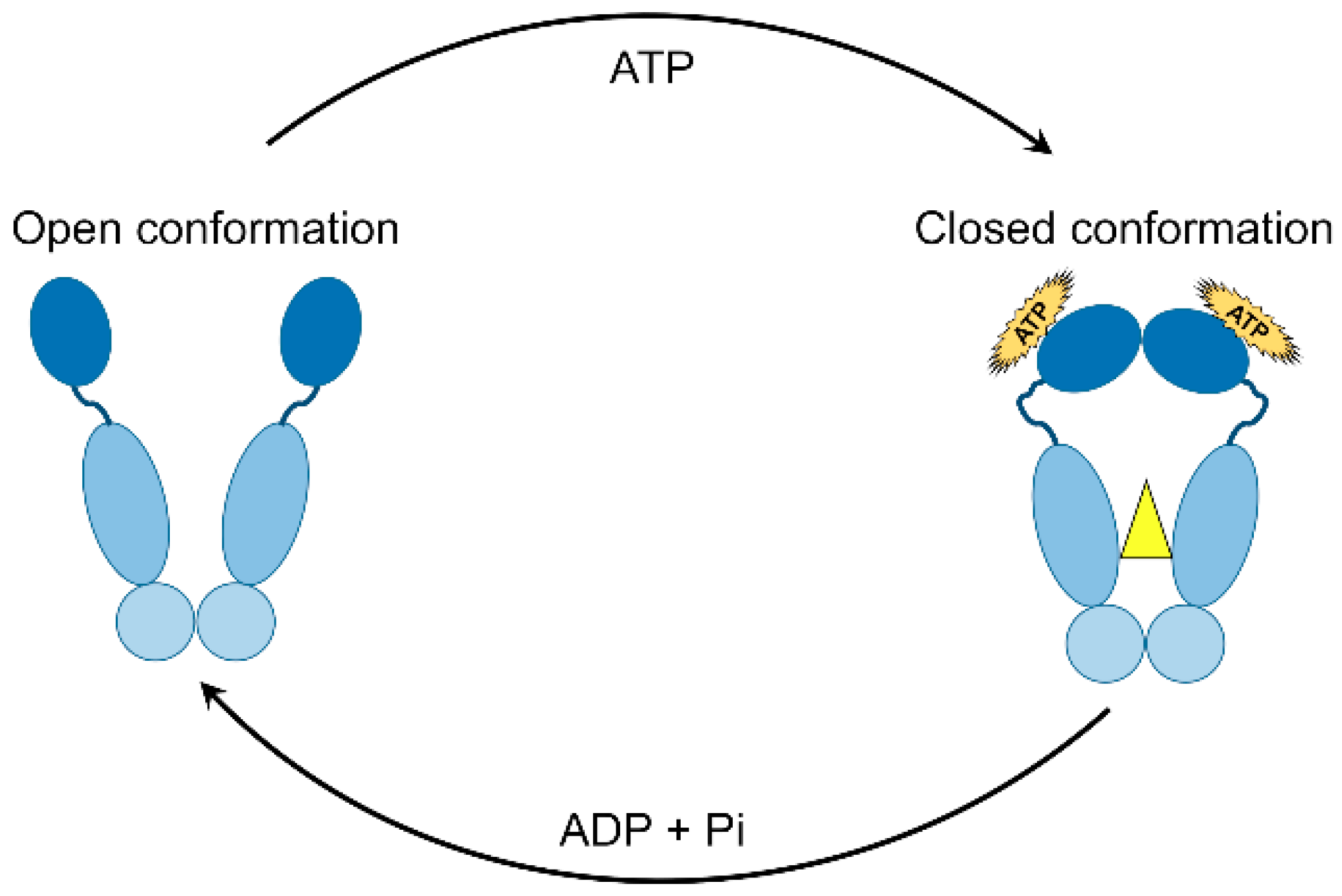 Ijms 19 02560 g002 Ijms 19 02560 g002