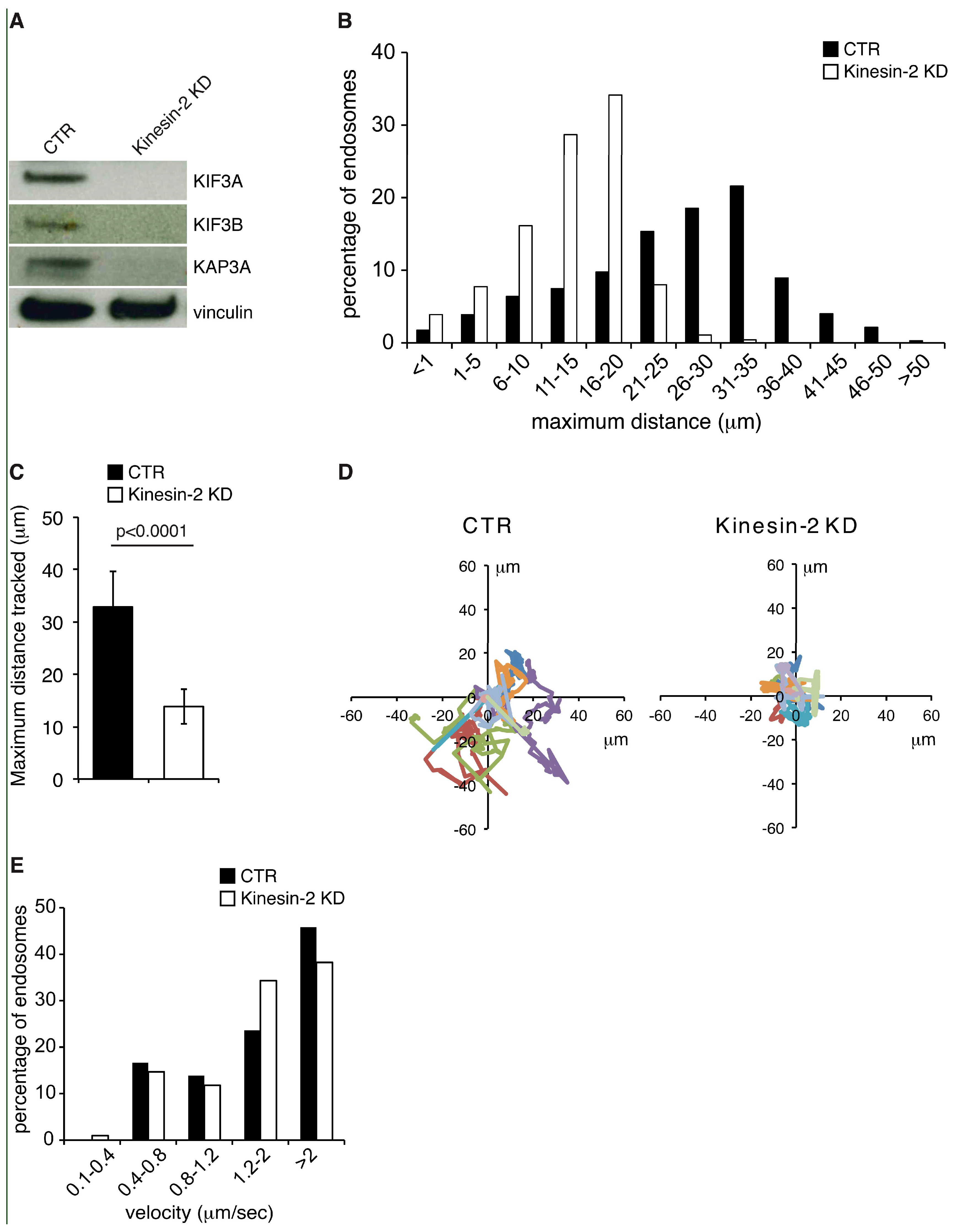 Ijms 19 02575 g001 Ijms 19 02575 g001