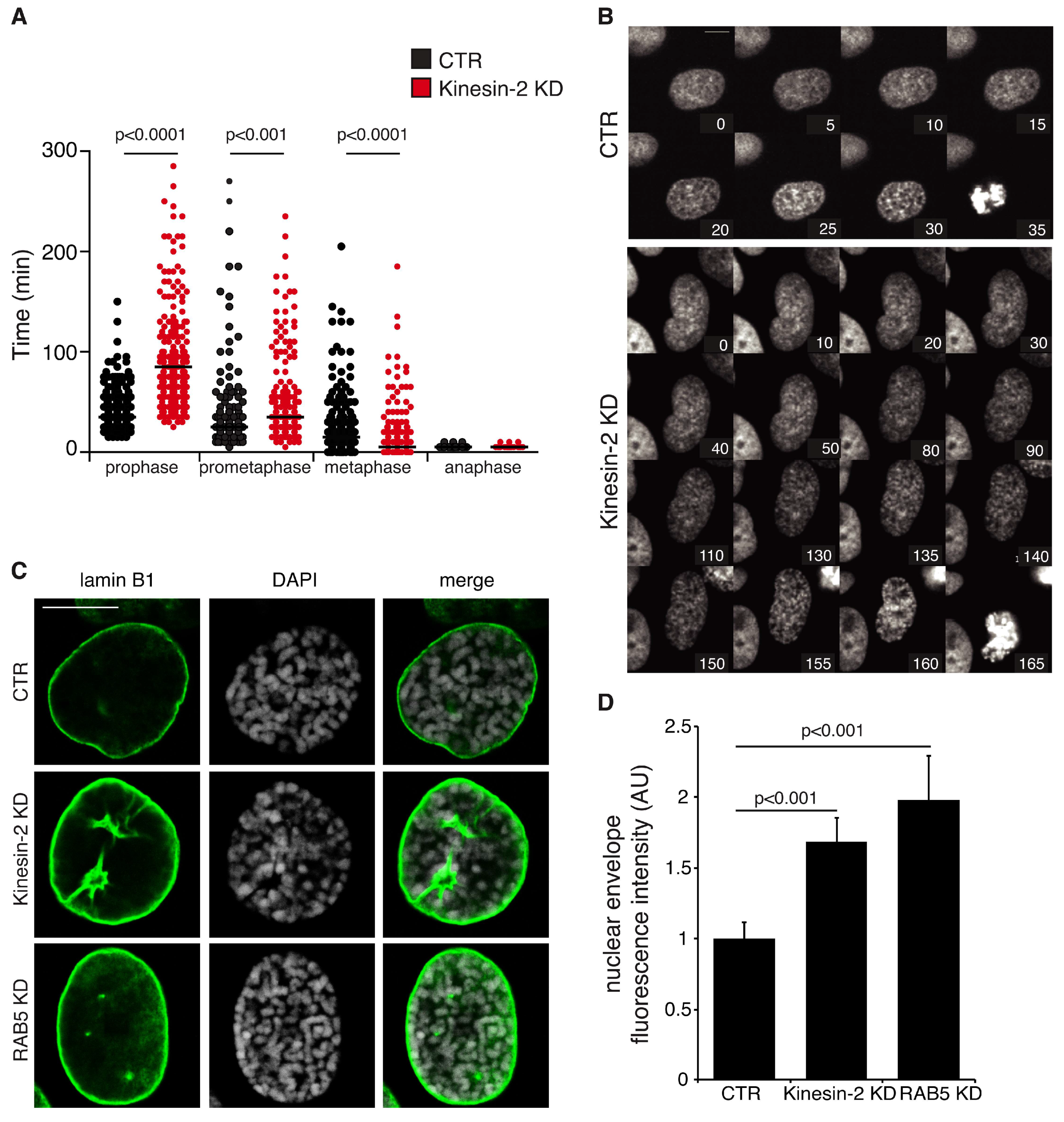 Ijms 19 02575 g004 Ijms 19 02575 g004