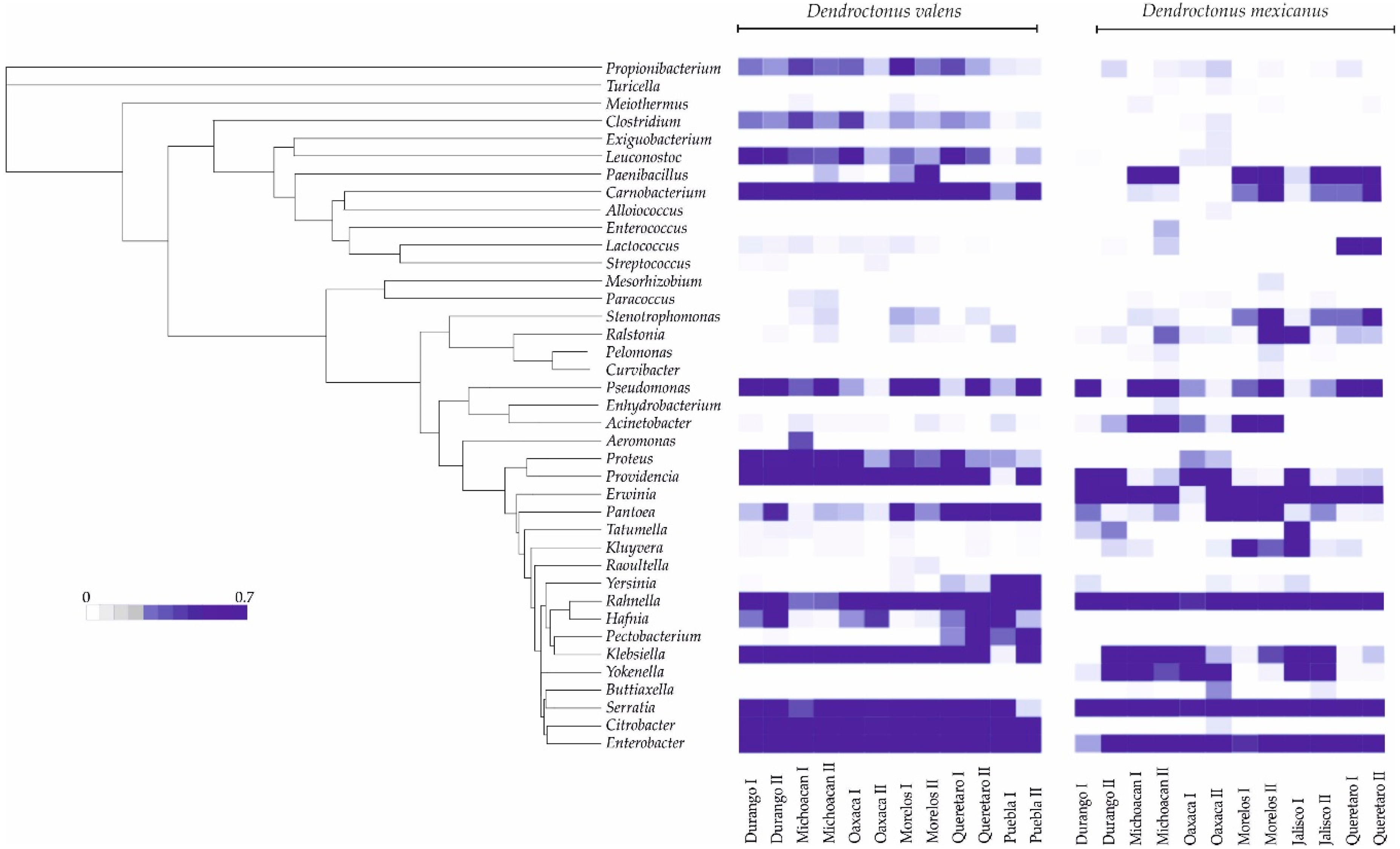 Ijms 19 02578 g003 Ijms 19 02578 g003