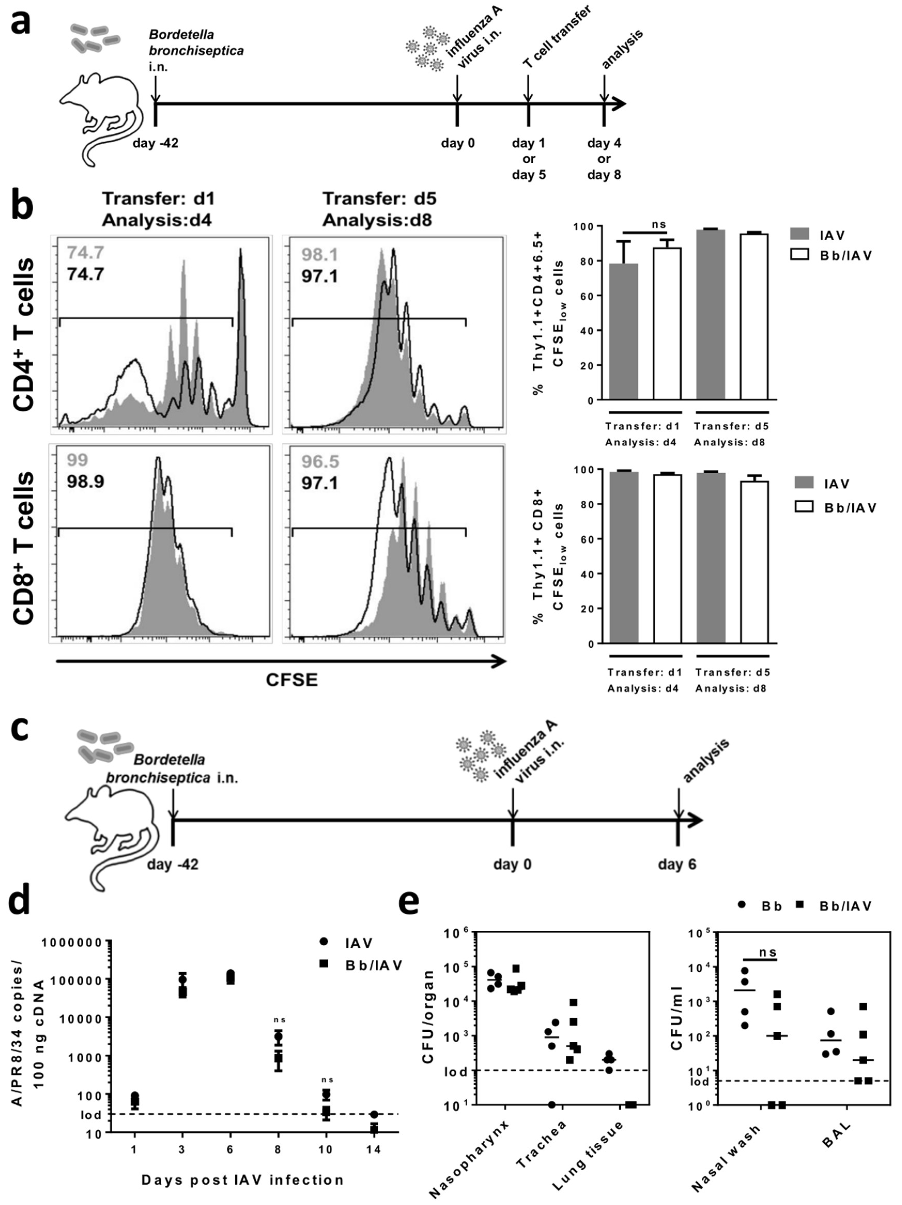 Ijms 19 02602 g006 Ijms 19 02602 g006