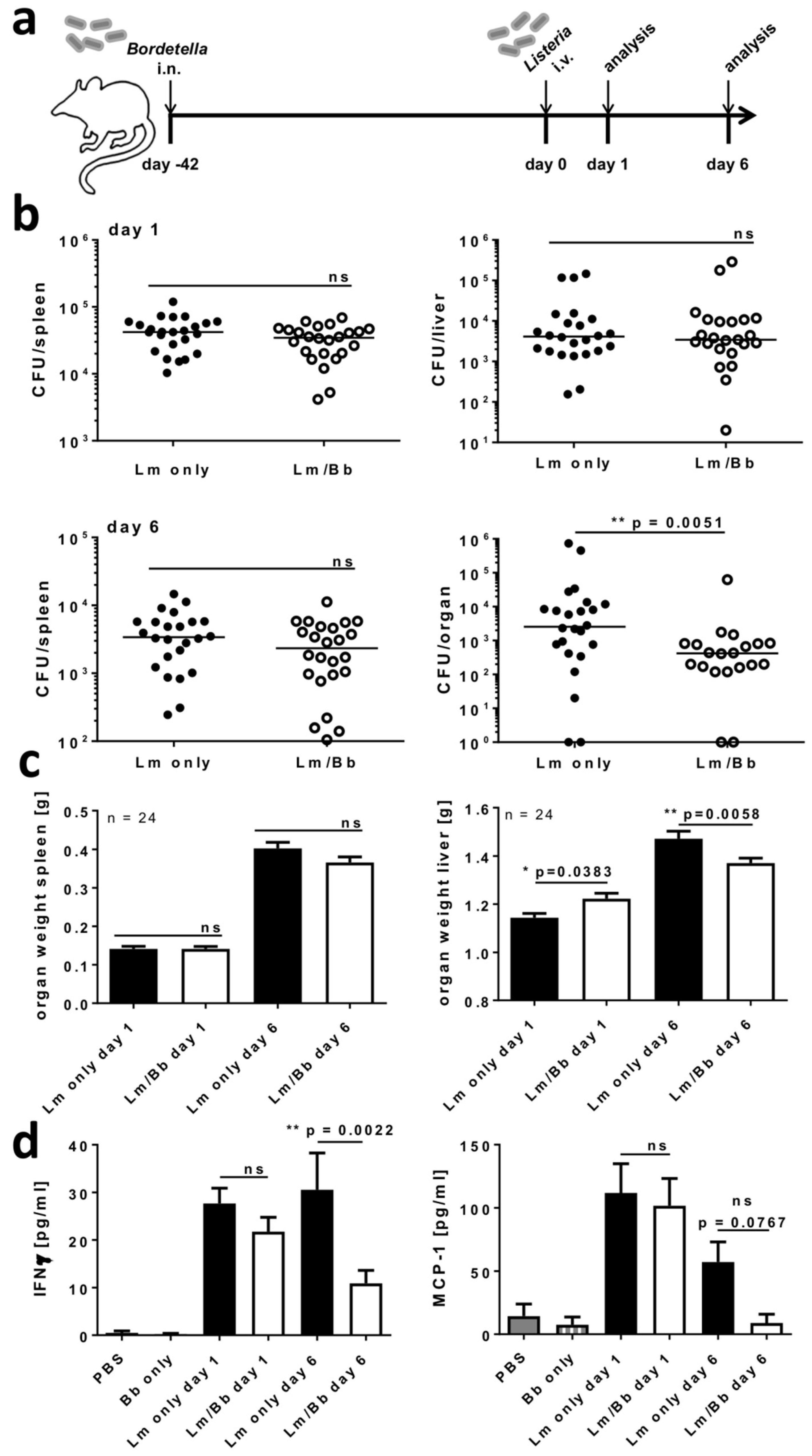 Ijms 19 02602 g007 Ijms 19 02602 g007