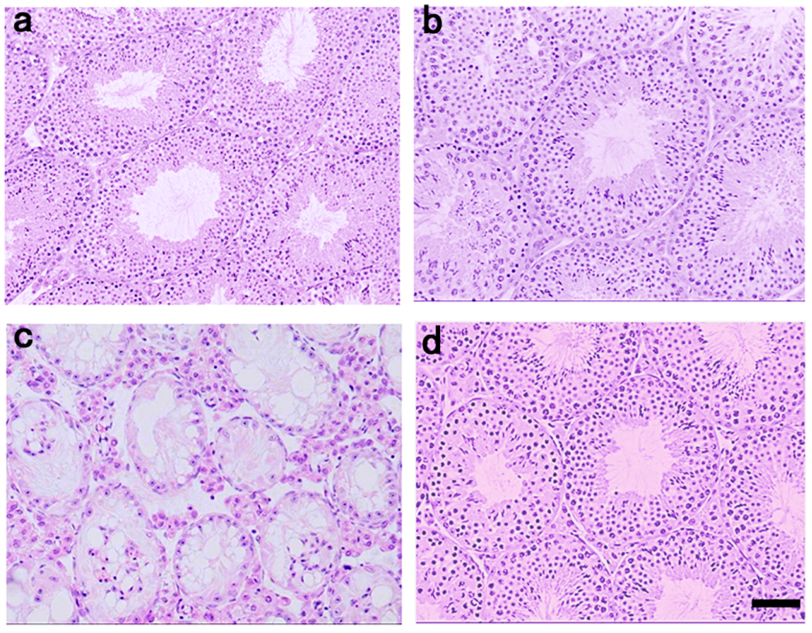 Ijms 19 02606 g002 Ijms 19 02606 g002