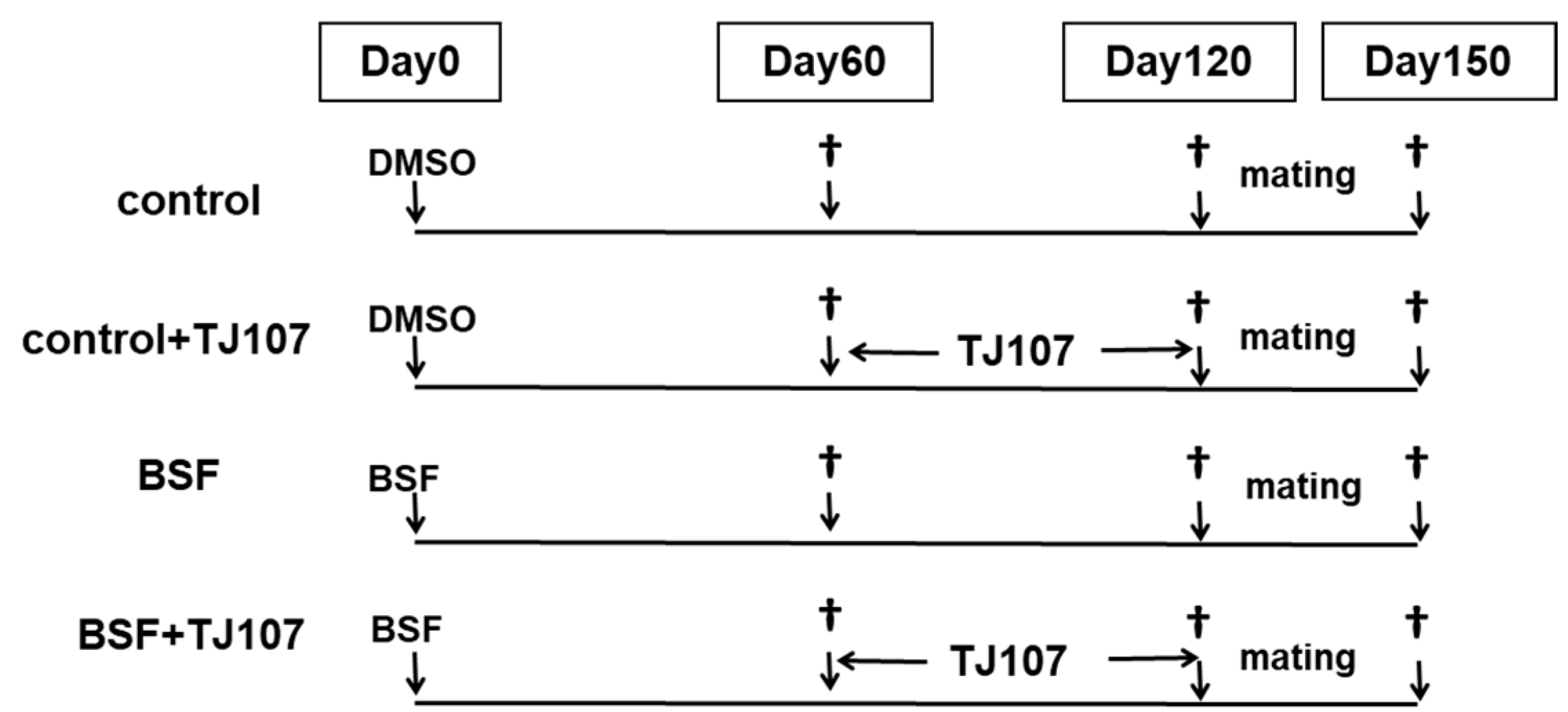 Ijms 19 02606 g006 Ijms 19 02606 g006