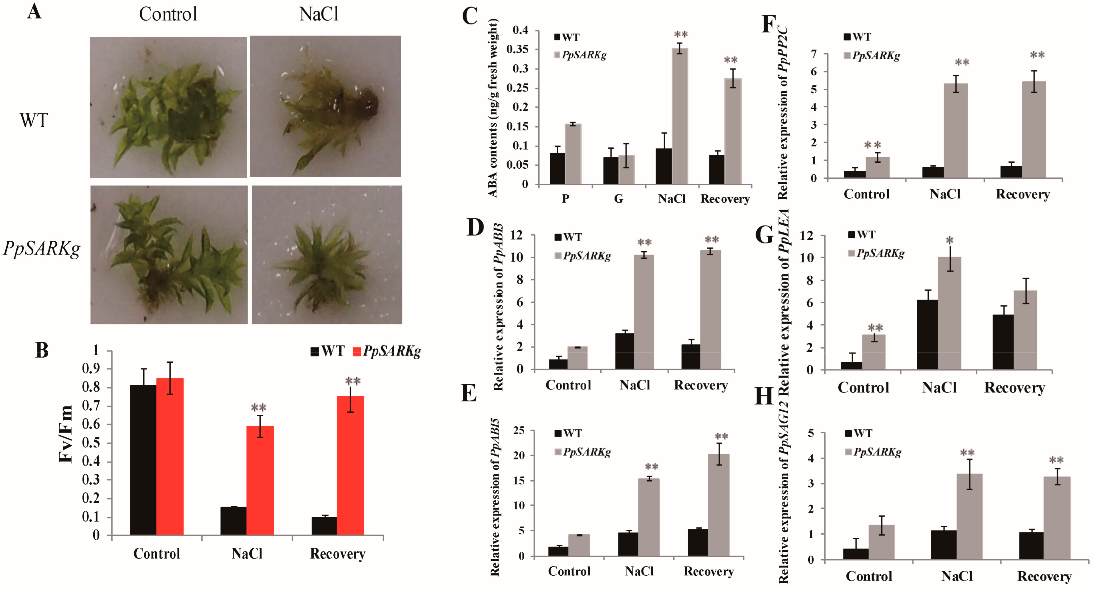 Ijms 19 02609 g004 Ijms 19 02609 g004