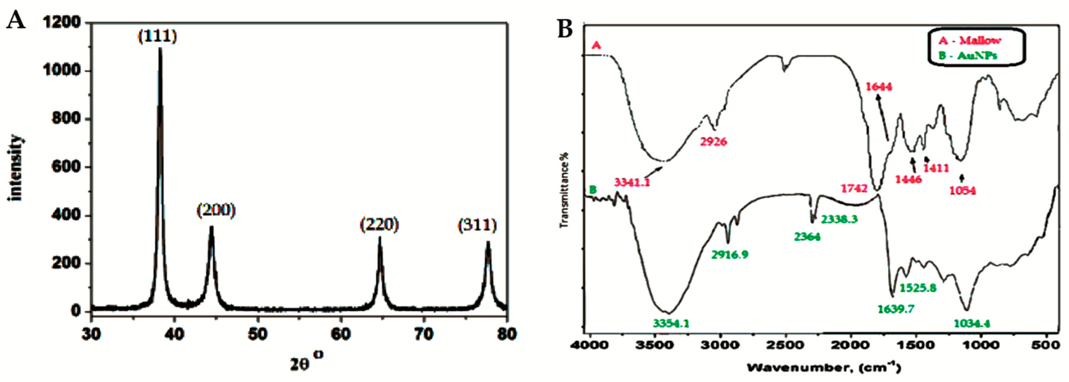 Ijms 19 02612 g005 Ijms 19 02612 g005