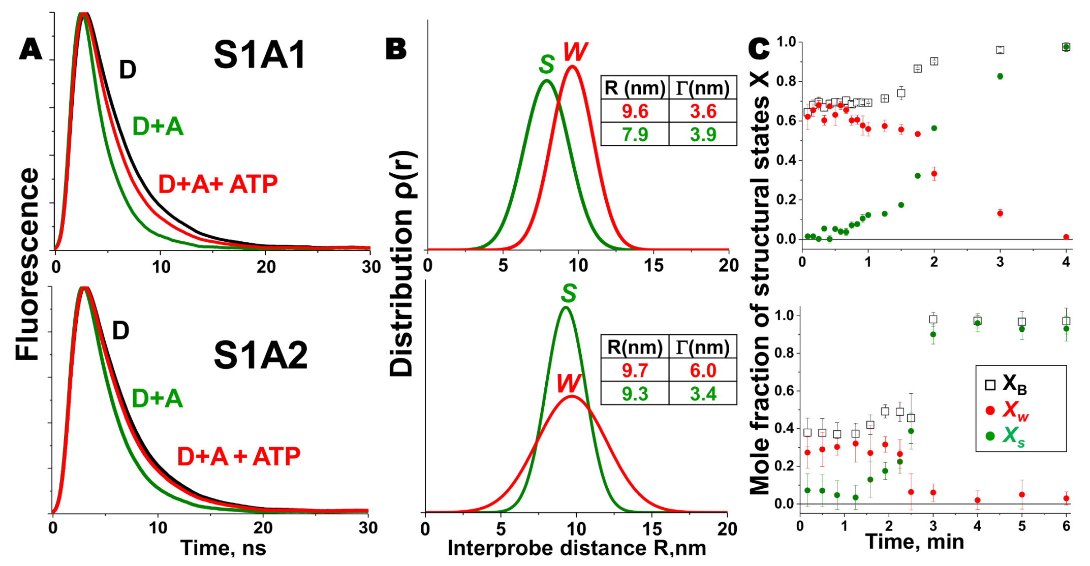 Ijms 19 02628 g002 Ijms 19 02628 g002