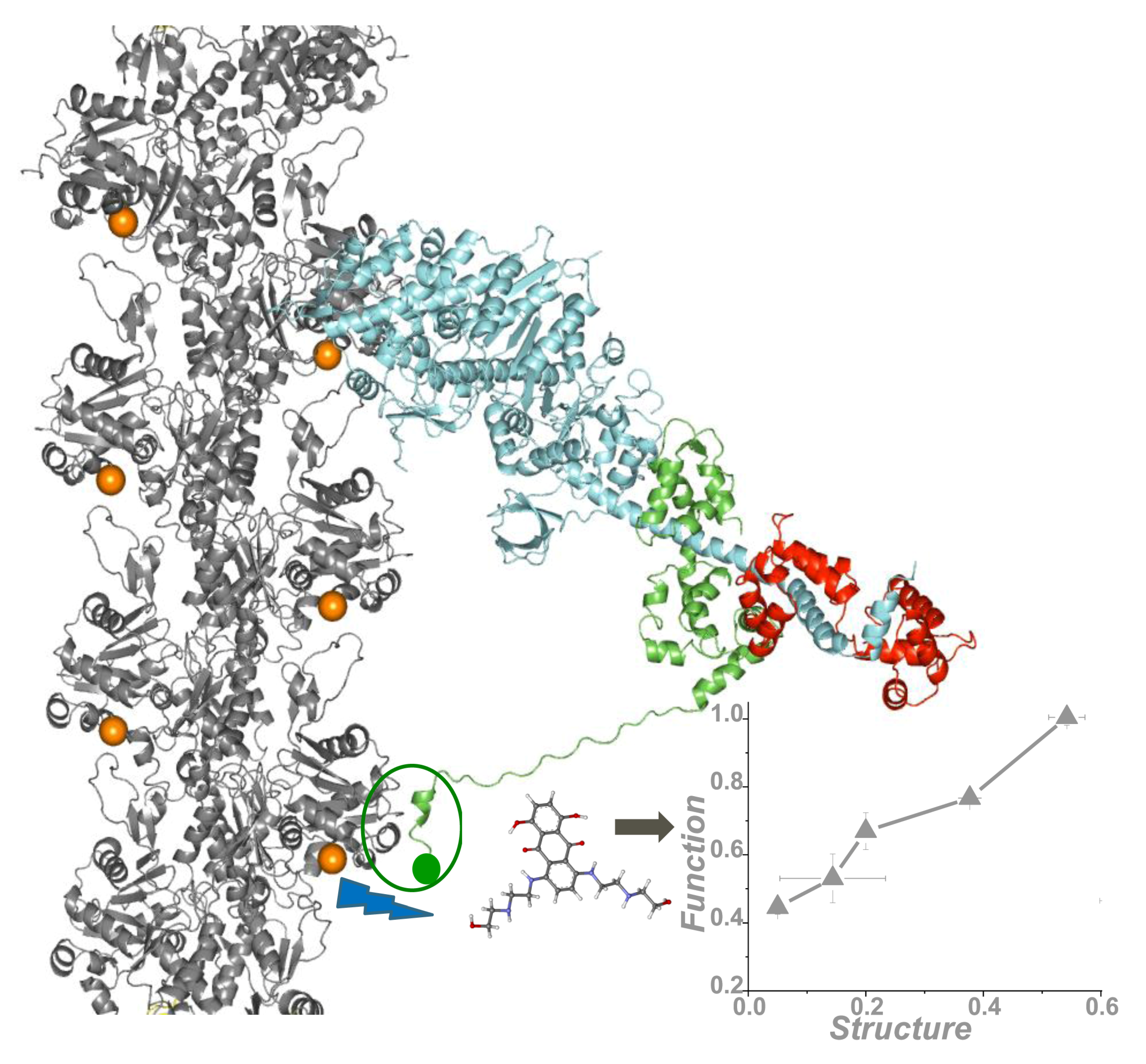 Ijms 19 02628 g006 Ijms 19 02628 g006