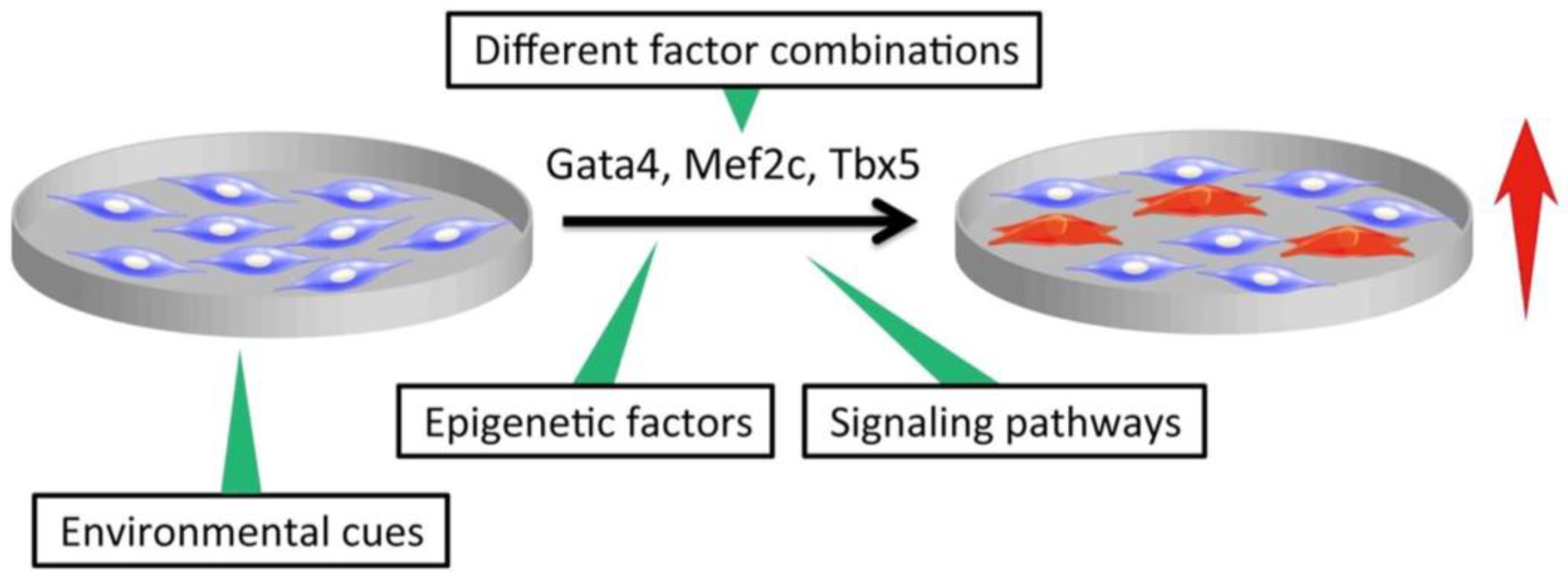Ijms 19 02629 g001 Ijms 19 02629 g001